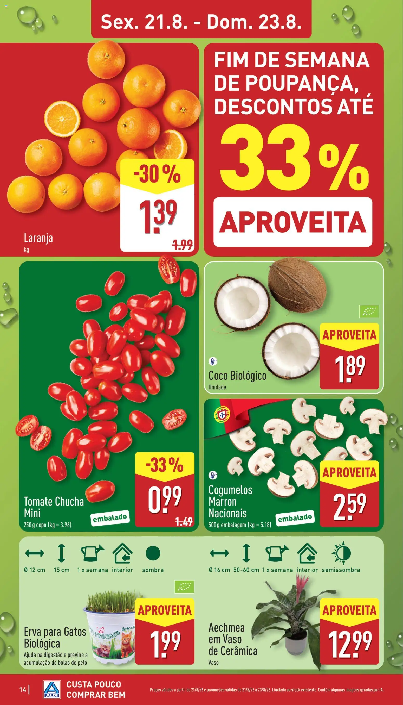 Aldi folheto │ válido de 17/08/2026 | Página: 14 | Produtos: Vaso, Tomate, Cogumelos, Coco