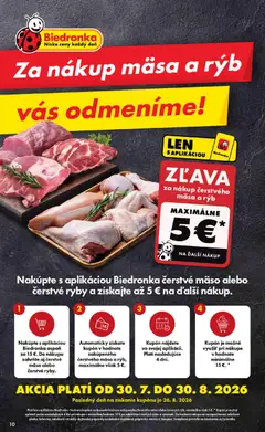 Biedronka leták platný od 24.08.2026 | Strana: 10