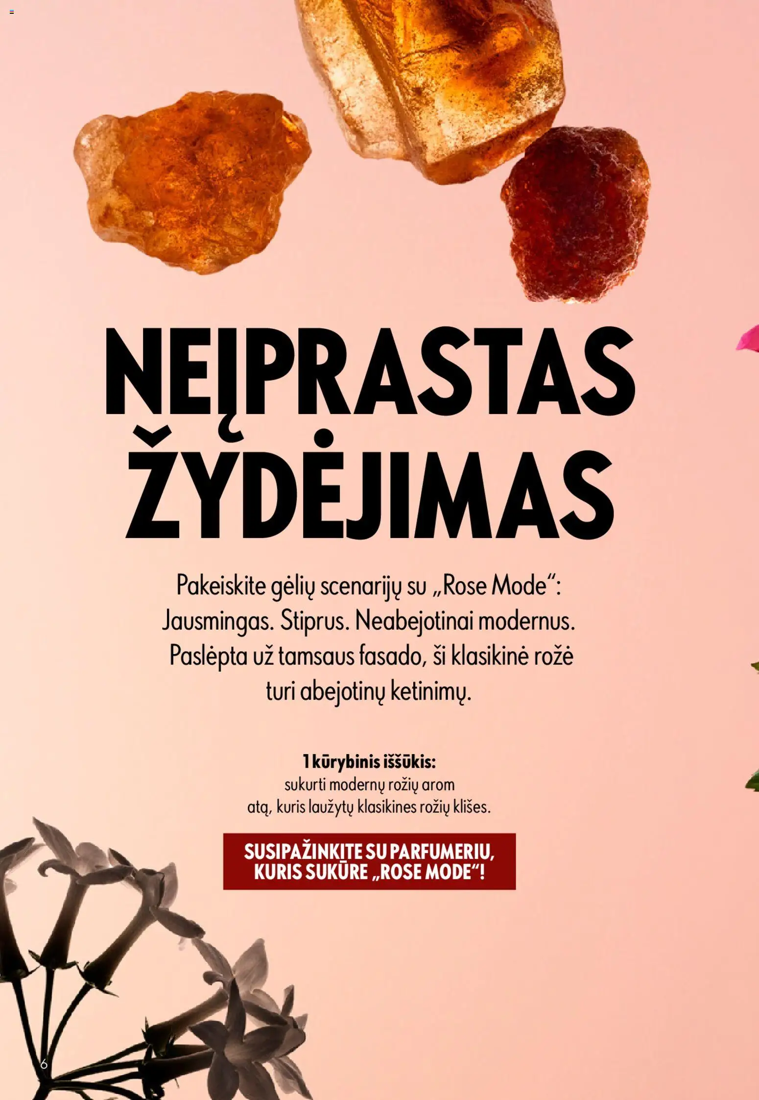 Oriflame akcijos nuo 22.04.2026 | Puslapis: 6