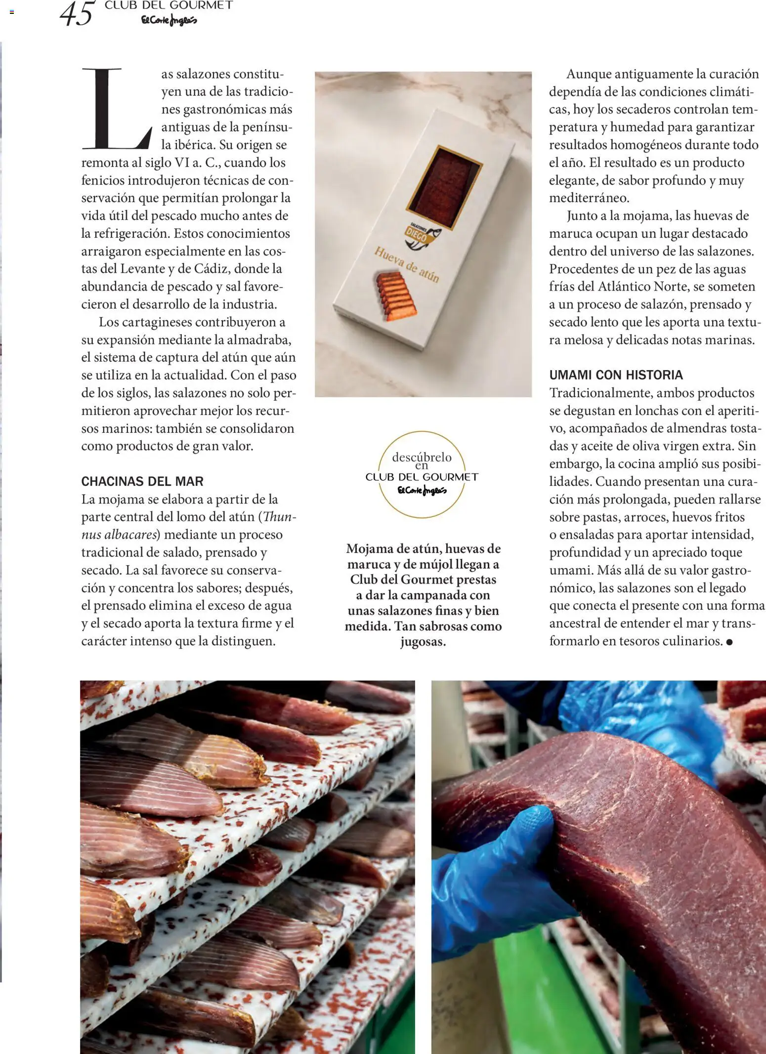 El Corte Inglés ofertas │ válido desde el 22/06/2026 | Página: 45 | Productos: Lomo, Cocina, Sal, Agua