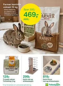 Forhåndsvisning av Felleskjøpet kundeavis gyldig fra 31/08/2026 | Side: 8 | Produkter: Mat