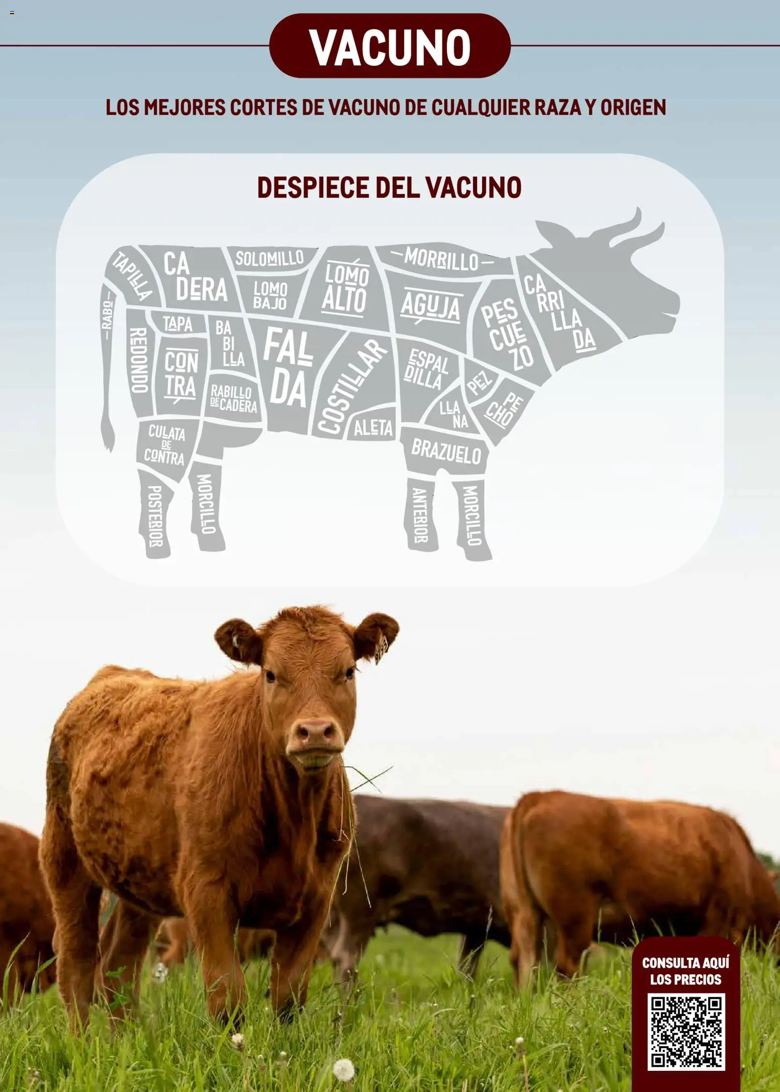 Makro - Expertos en carnes │ válido desde el 09.03.2026 | Página: 3