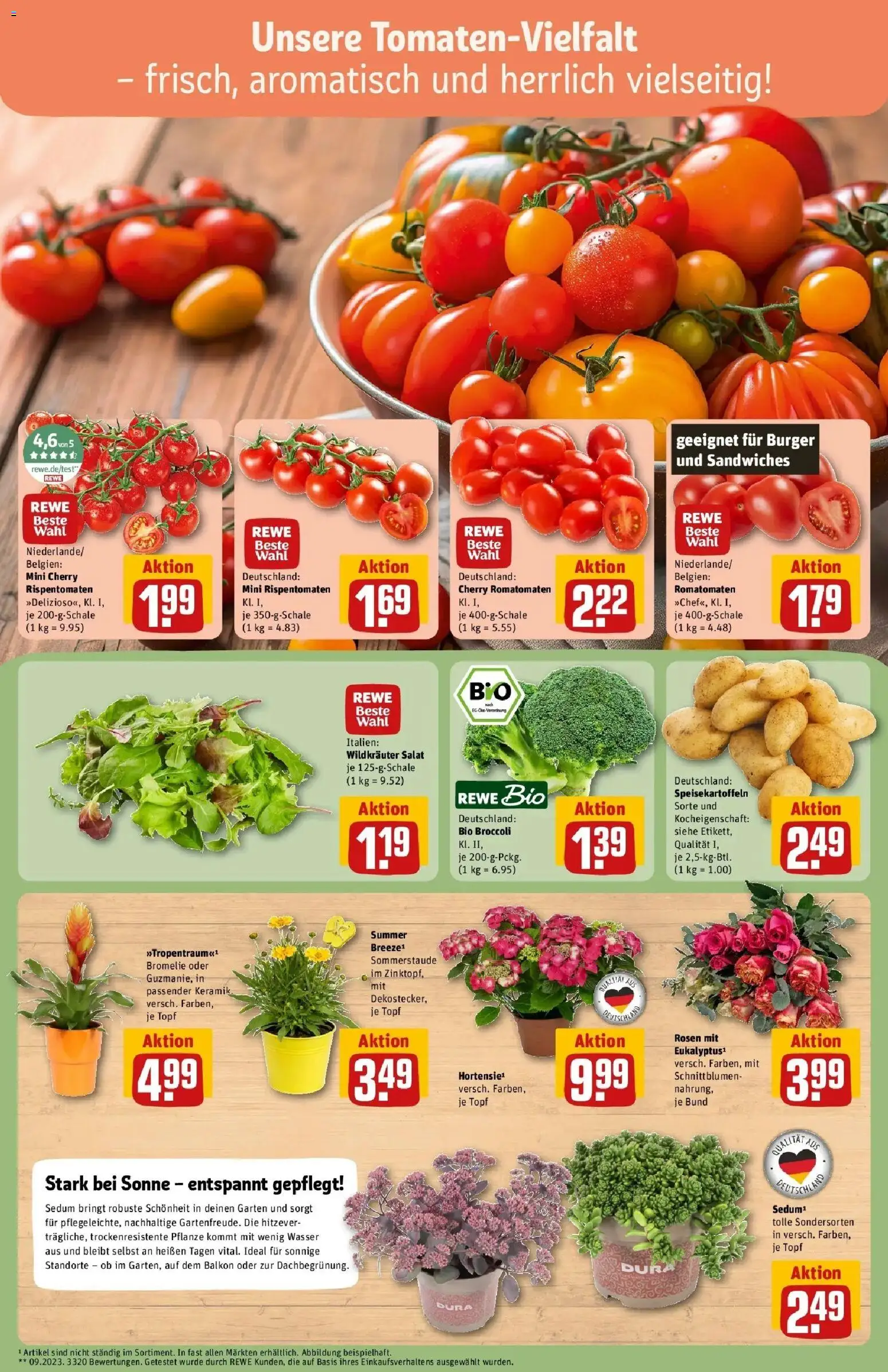 Rewe Prospekt Asslar – gültig ab 13.07.2026 | Seite: 7 | Produkte: Burger, Wasser, Salat