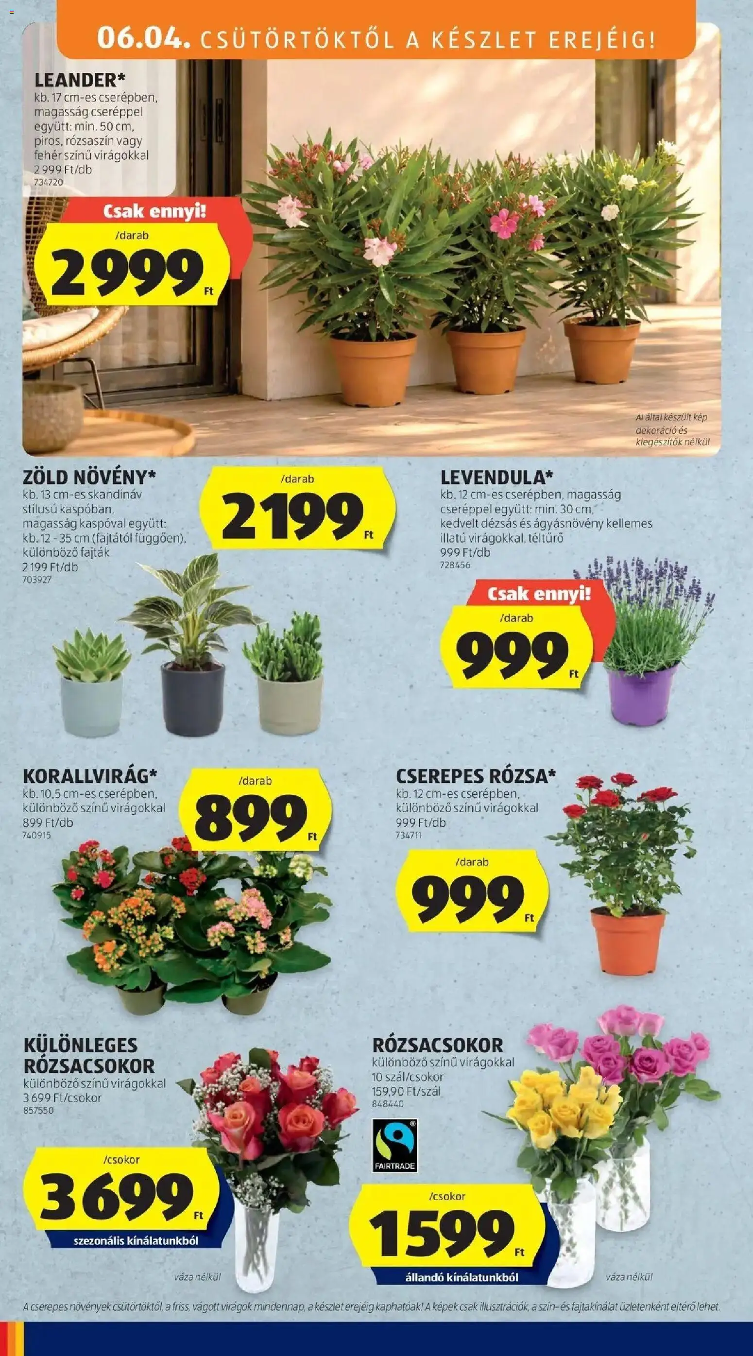 Aldi akciós ujság - amely érvényes a következő dátumtól: 04.06.2026 | Oldal: 32 | Termékek: Virágok, Váza, Dekoráció