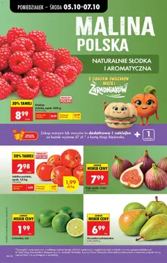 Pogląd oferty "Malina polska, opak. 200 g, Malina polska, opak. 200 g" - ważna od 05.10.2026 | Strona: 24 | Produkty: Karta, Malina, Maskotki, Warzywa