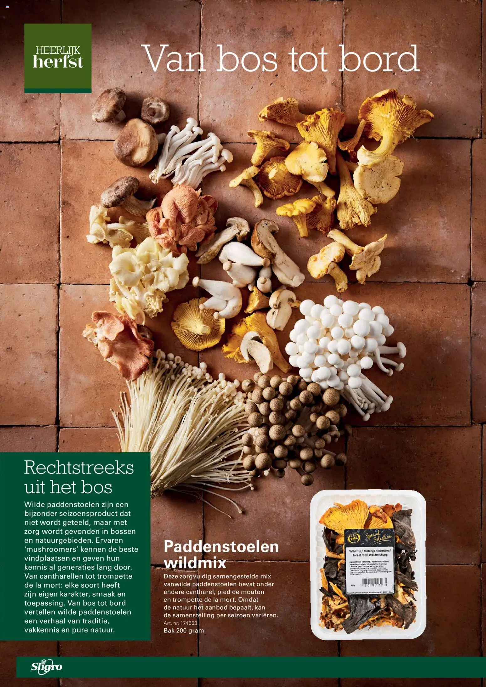 {H1} | Pagina: 4 | Producten: Kan, Bord, Paddenstoelen, La