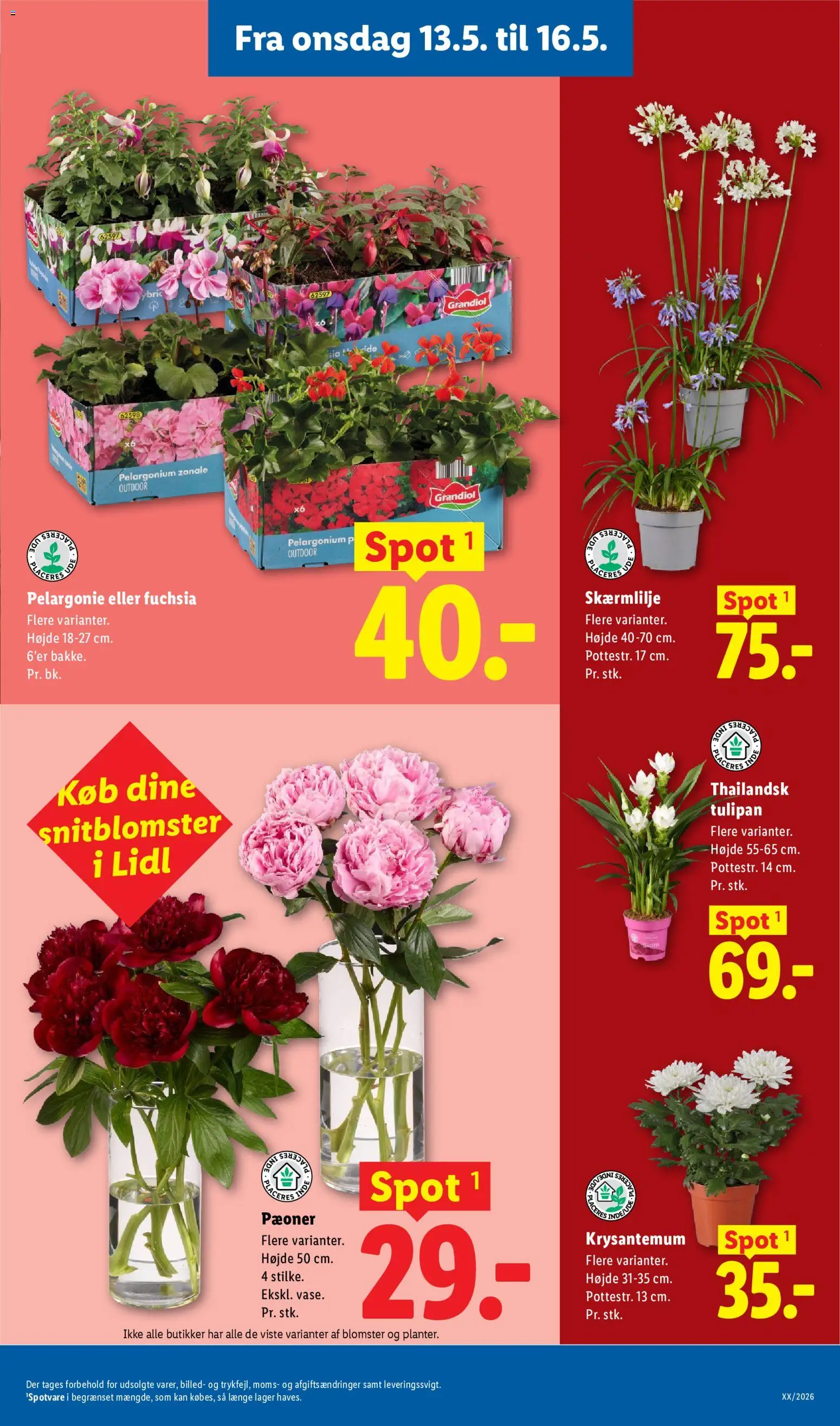 Lidl tilbudsavis – gyldig fra 10.05.2026 | Side: 6