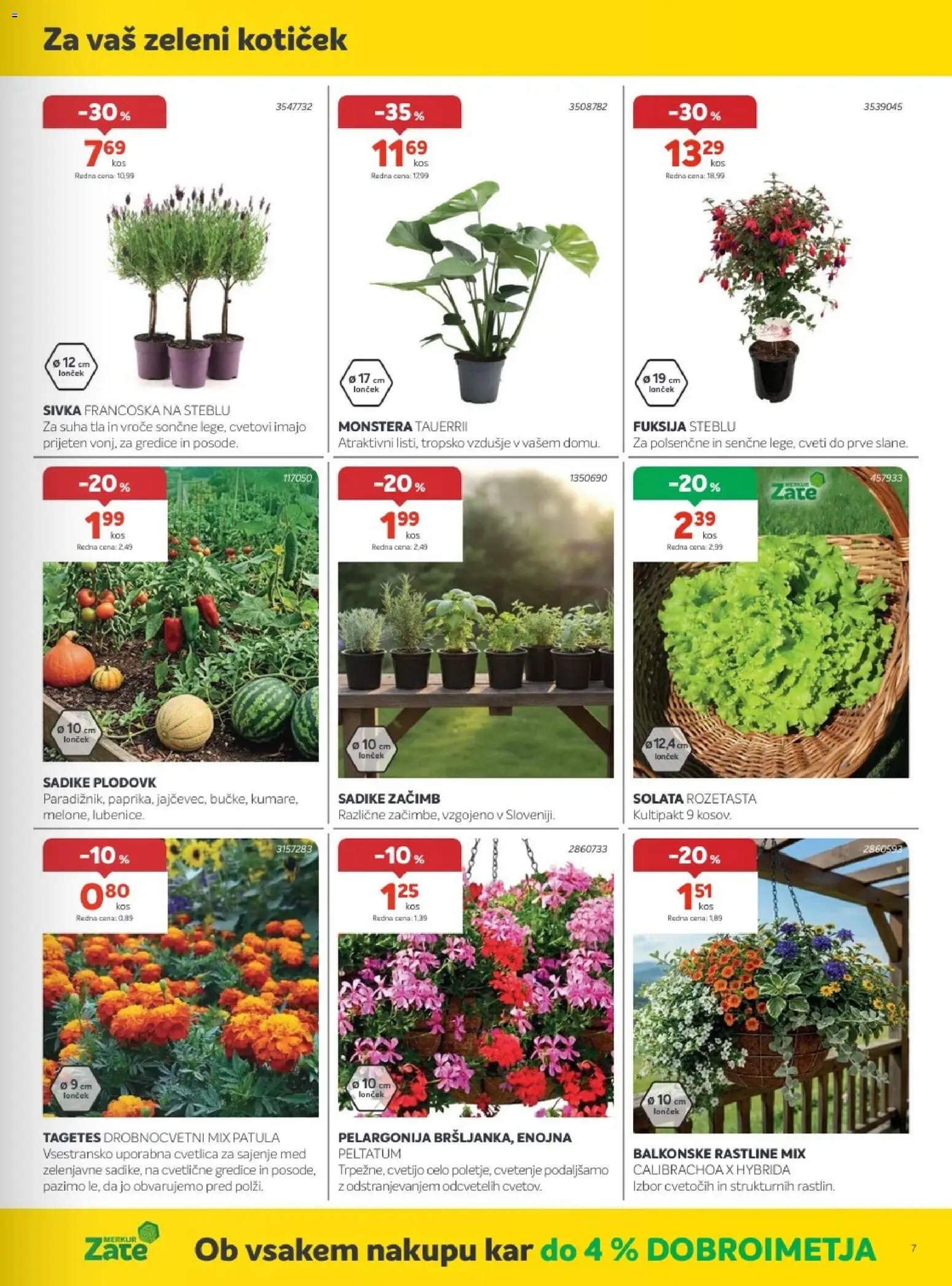 Novi Merkur katalog ponudbe – veljaven od 06.05.2026 | Stran: 7 | Izdelki: Solata
