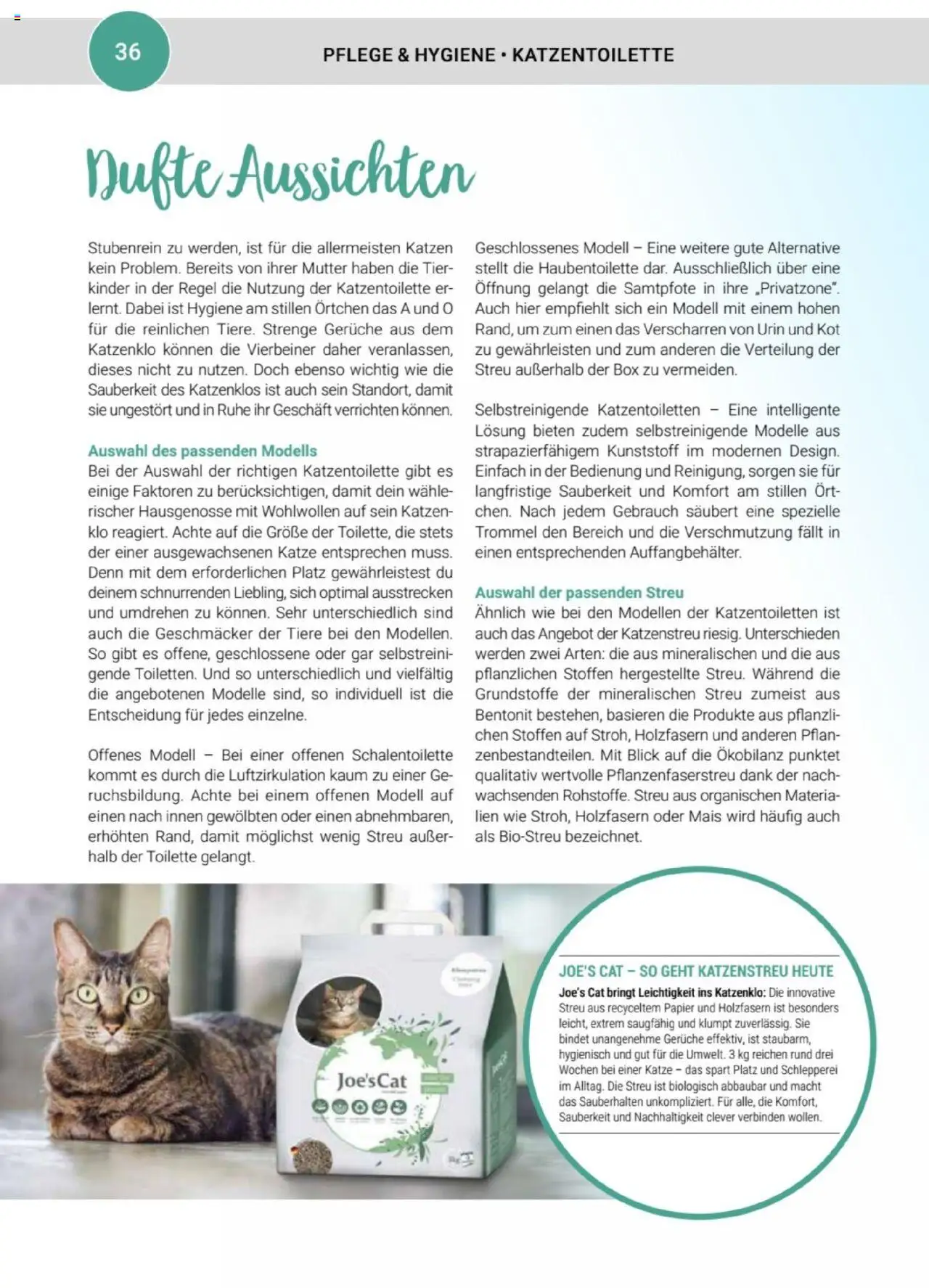 zookauf Themenkatalog Katze – gültig ab 01.10.2025 | Seite: 36 | Produkte: Mais, Box, Toilette