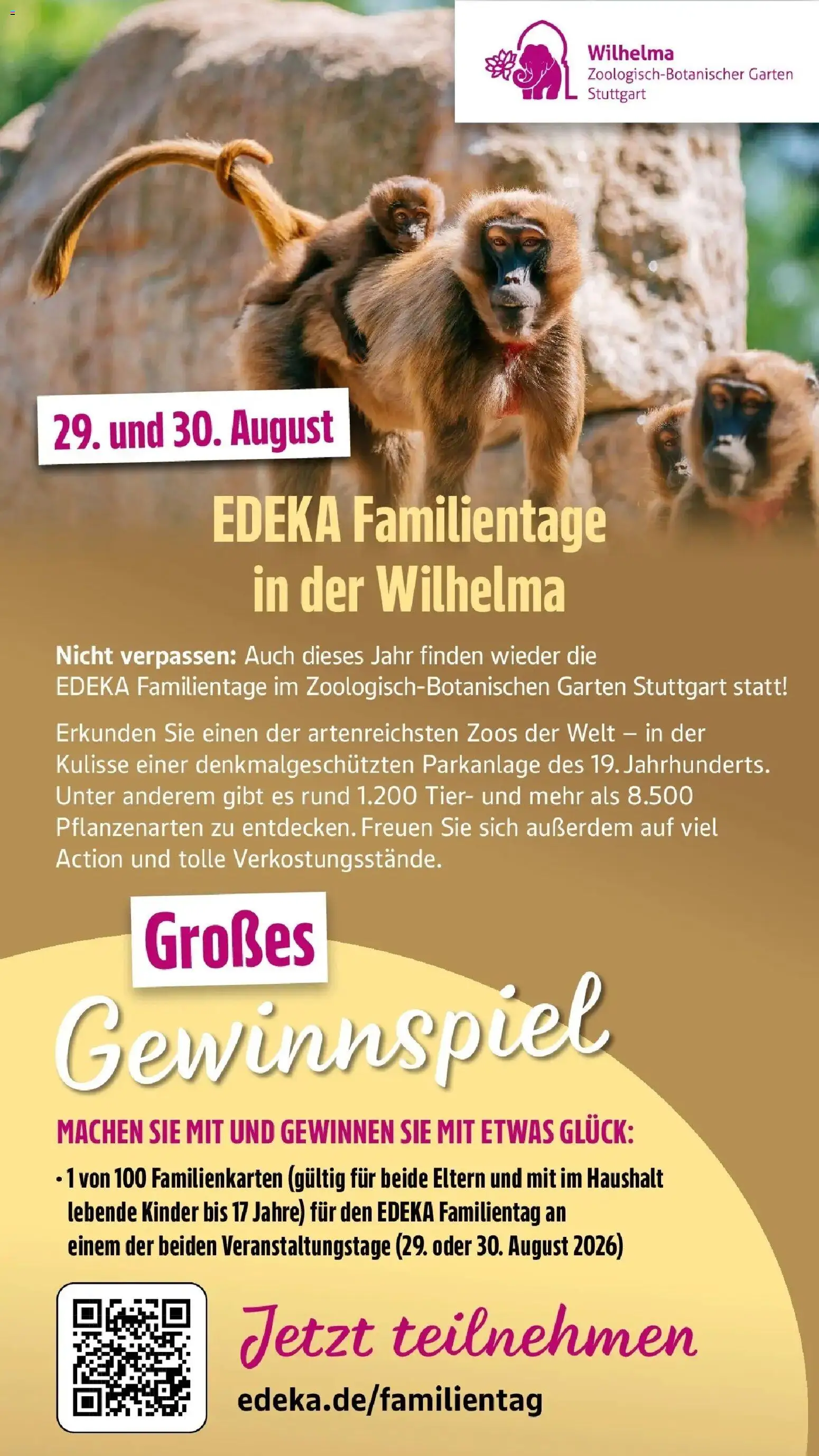 Edeka - EDEKA: Wochenangebote – gültig ab 05.07.2026 | Seite: 56