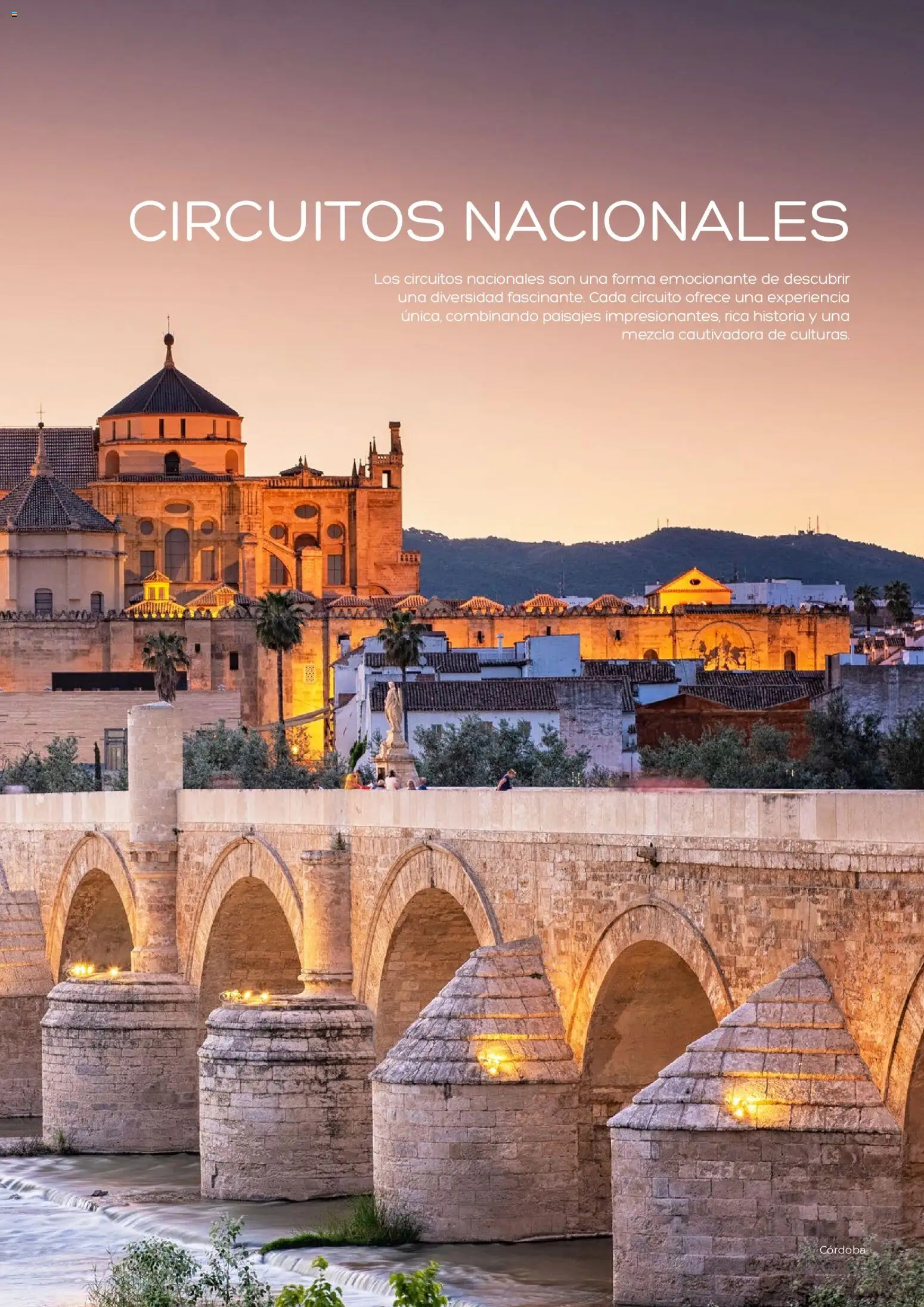 Viajes El Corte Inglés Adineko genérico │ válido desde el 01/02/2026 | Página: 5