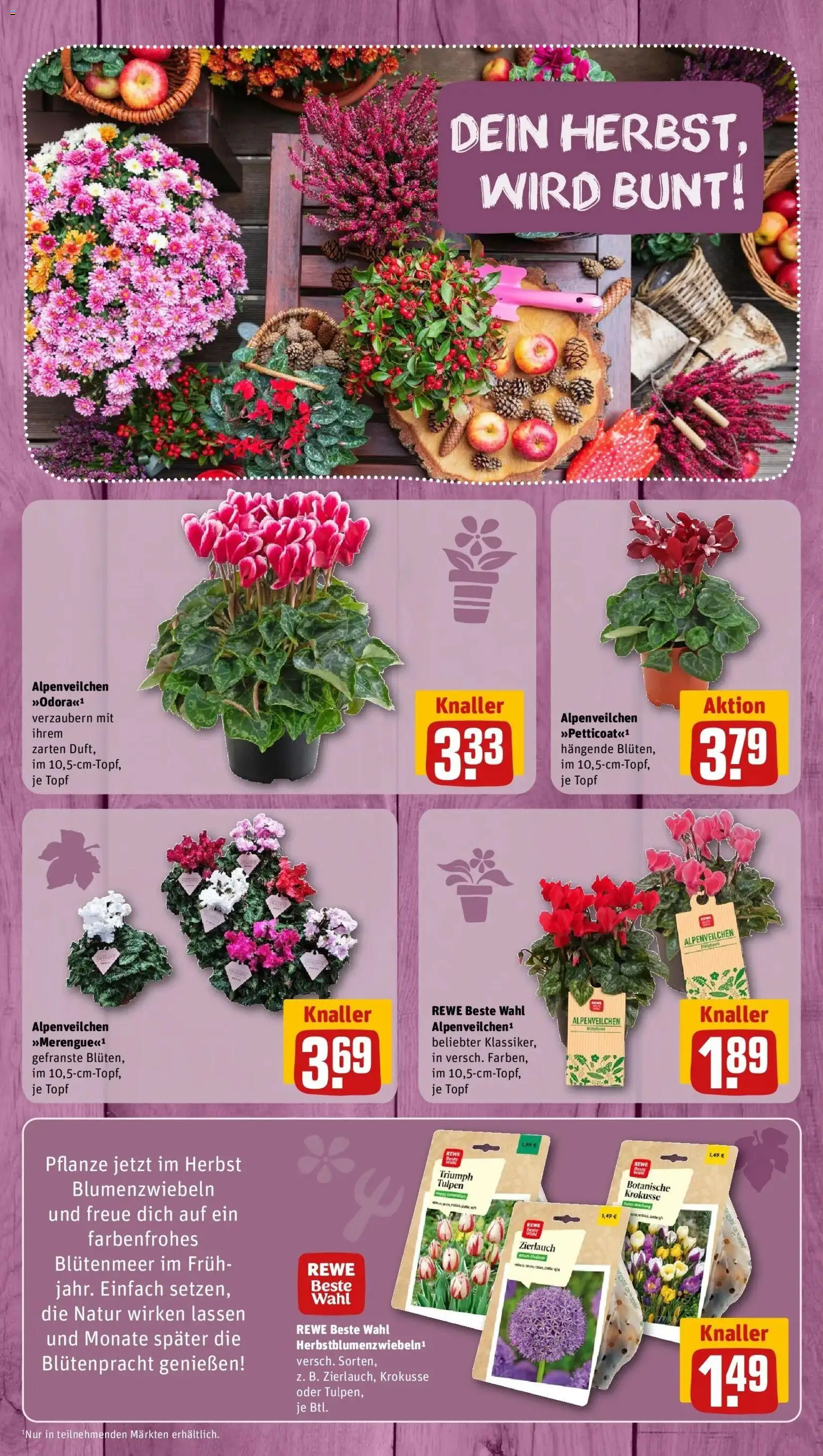 REWE Prospekt ab 28.09.2026 zum Blättern » Angebote | Seite: 9