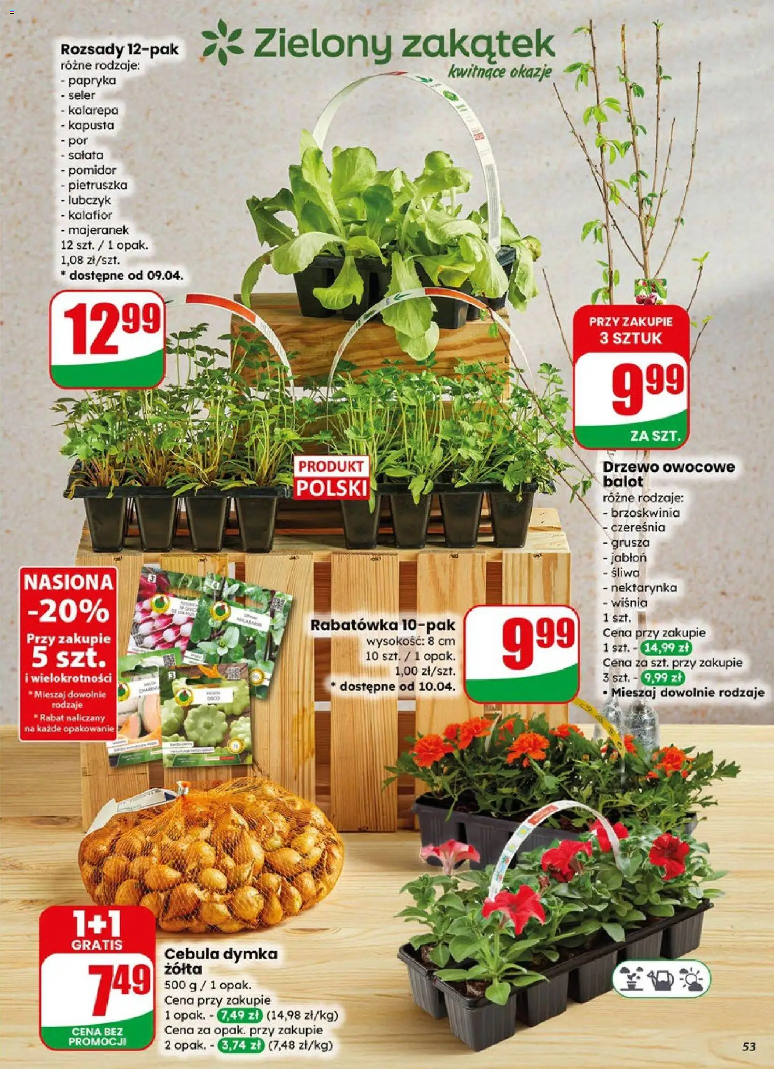 Dino gazetka od 08.04.2026 | Strona: 53 | Produkty: Nektarynka, Pietruszka, Majeranek, Nasiona
