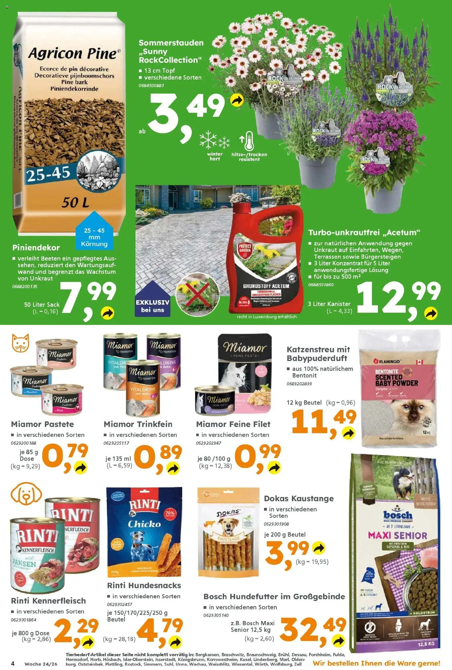 Globus Baumarkt Prospekt Homburg – gültig ab 08.06.2026 | Seite: 4 | Produkte: Bosch