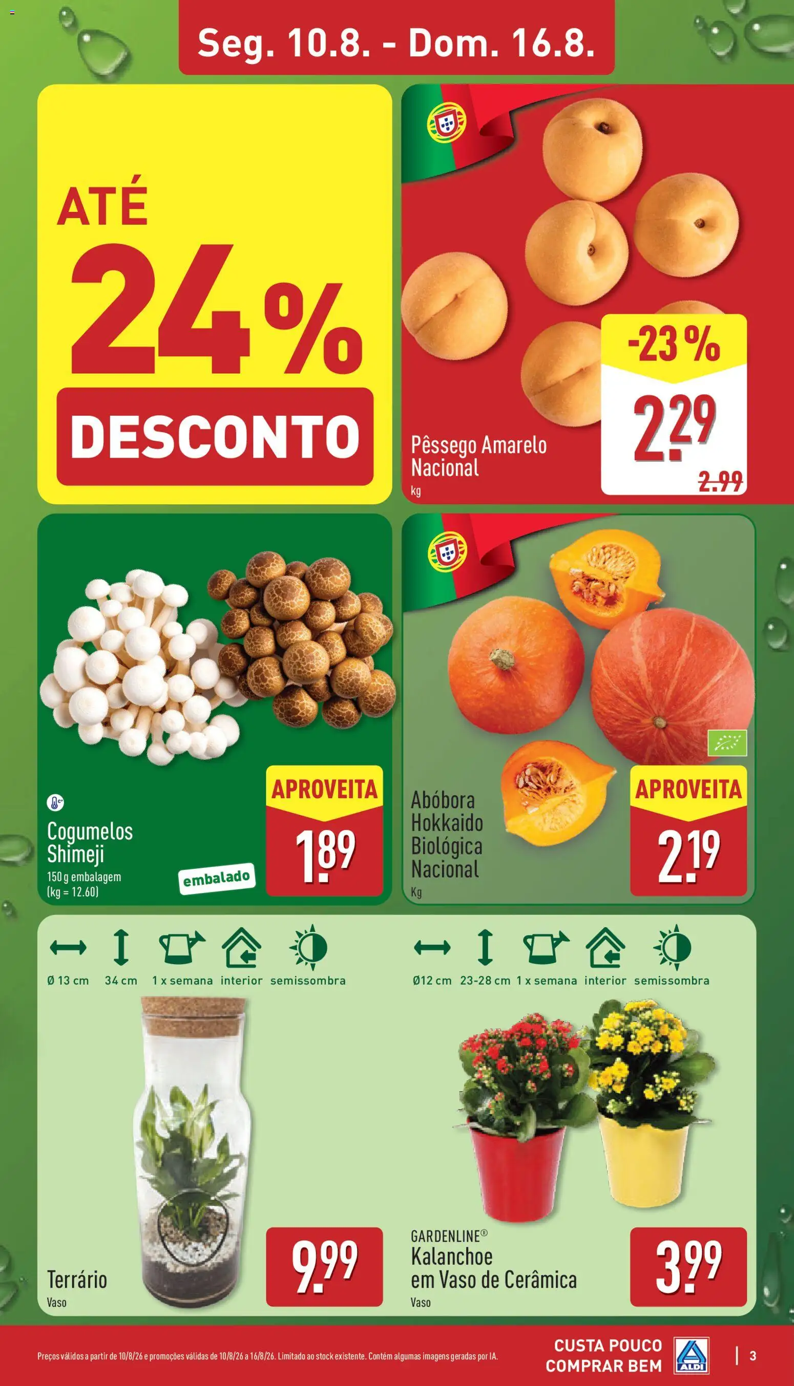Aldi folheto │ válido de 10/08/2026 | Página: 3 | Produtos: Vaso, Abóbora, Cogumelos