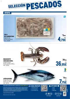 Vista previa Makro - Fresco válido desde el 09.06.2026 | Página: 4 | Productos: Peso, Caja, Langostino