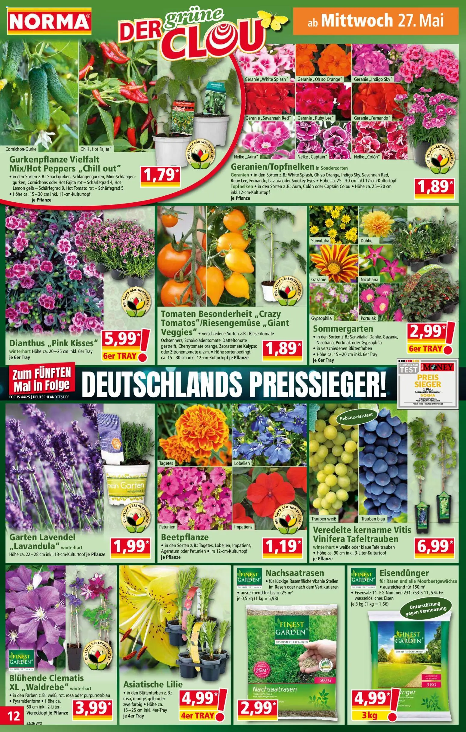 Norma Prospekt 	 – gültig ab 26.05.2026 | Seite: 12 | Produkte: Trauben, Geranien, Chili, Lavendel