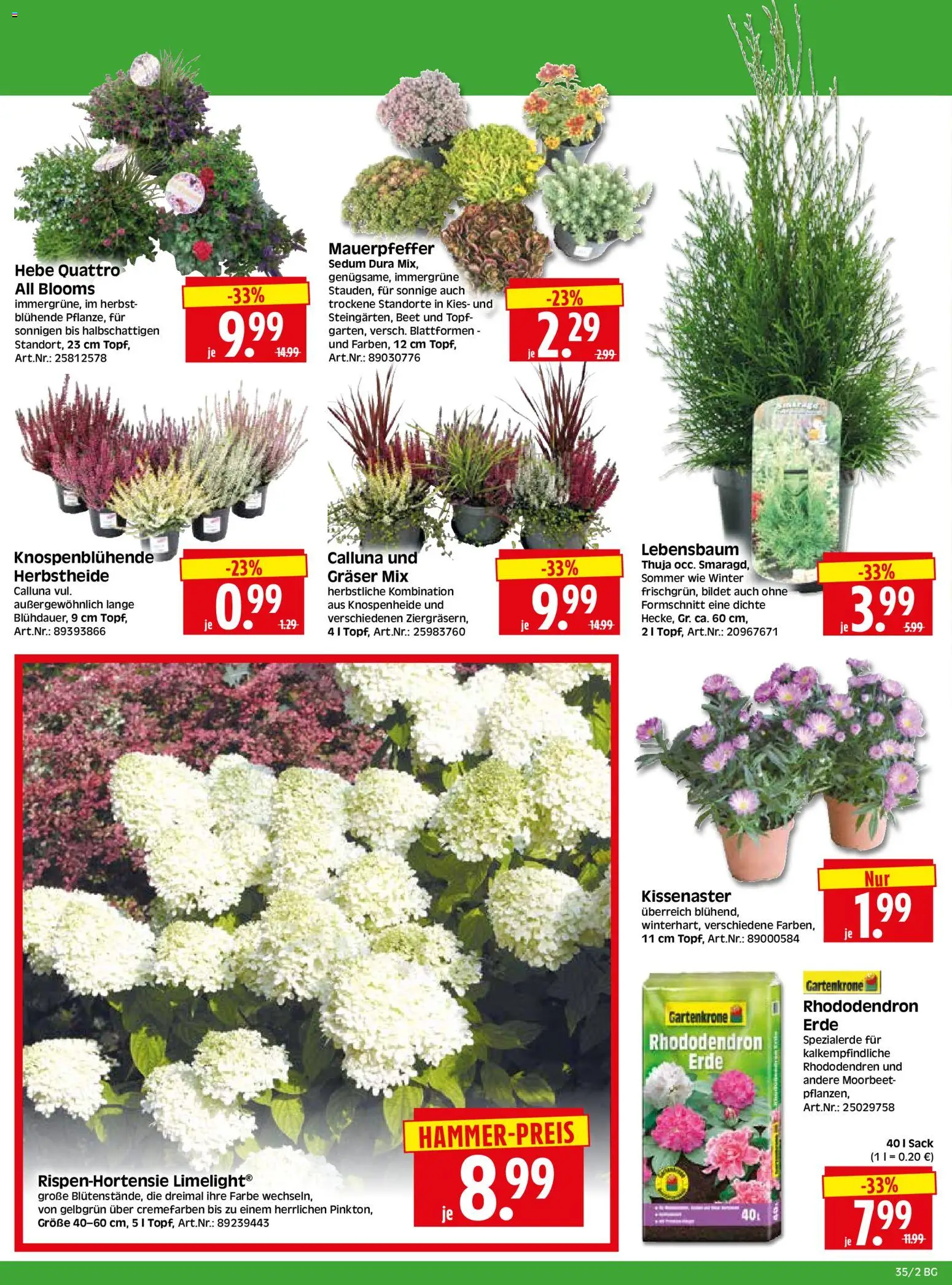 HERKULES Bau & Garten – gültig ab 24.08.2026 | Seite: 2