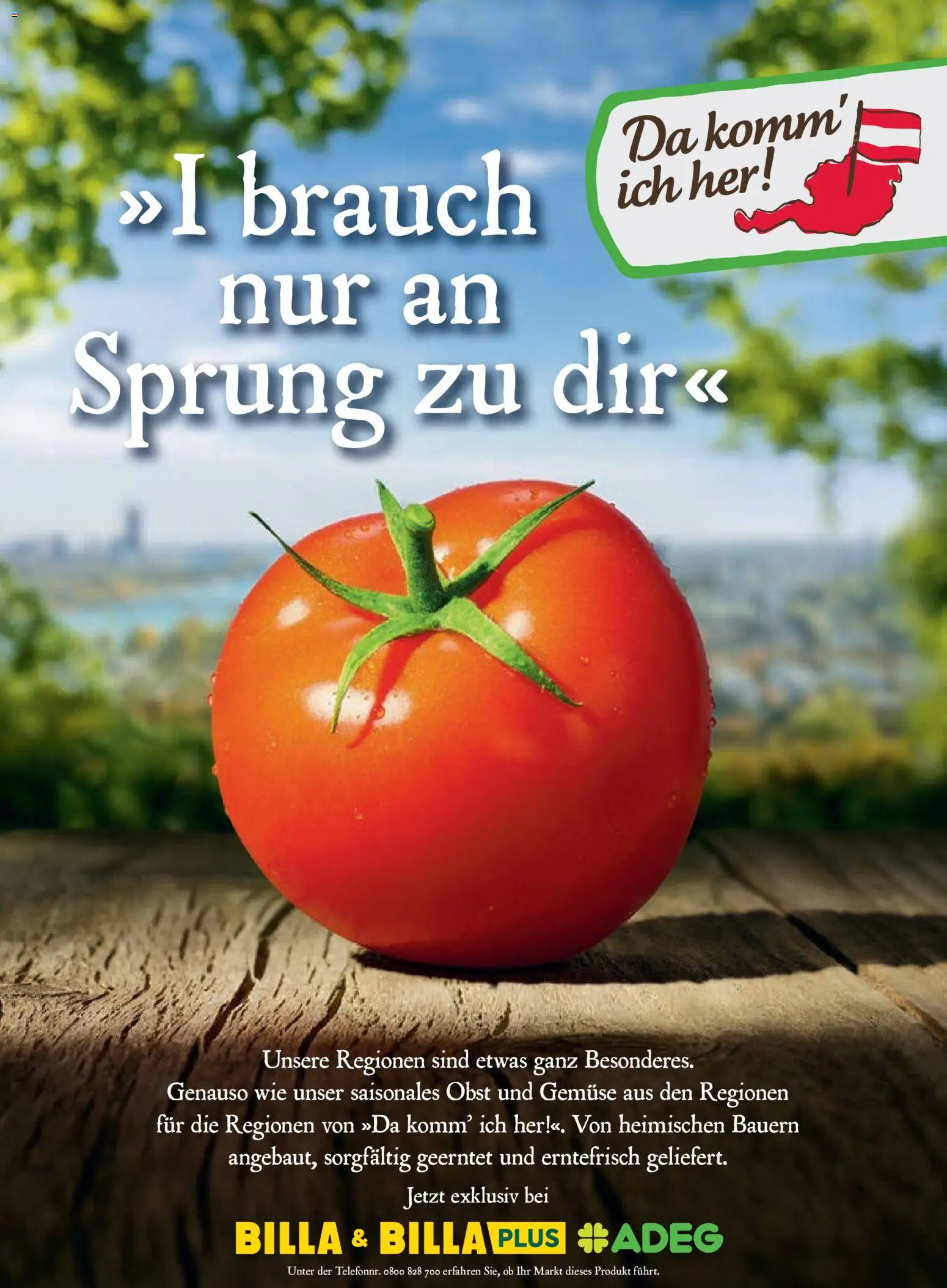 Billa Frisch Gekocht gültig ab 01.06.2026 | Seite: 71