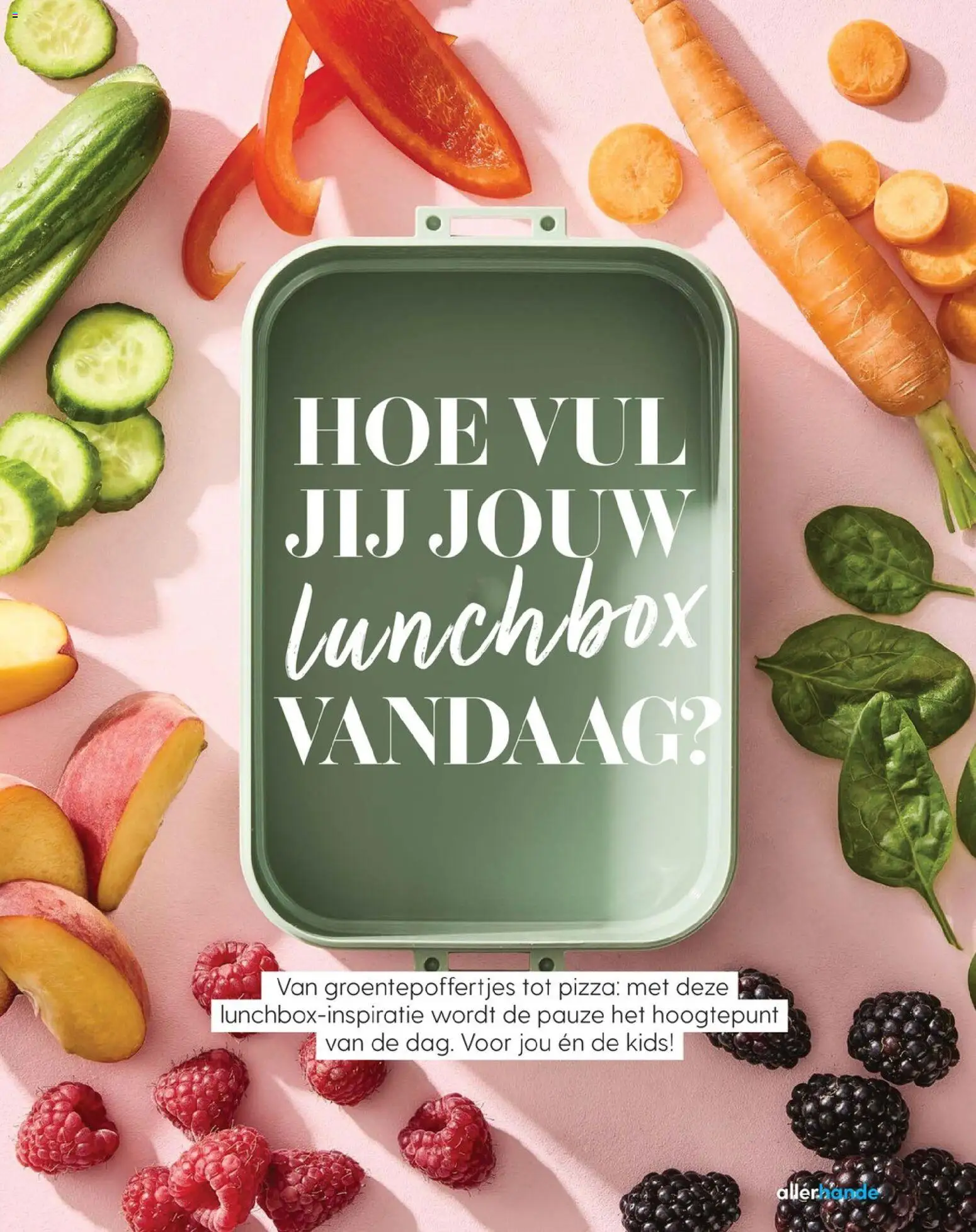 {H1} | Pagina: 65 | Producten: Lunchbox, Pizza