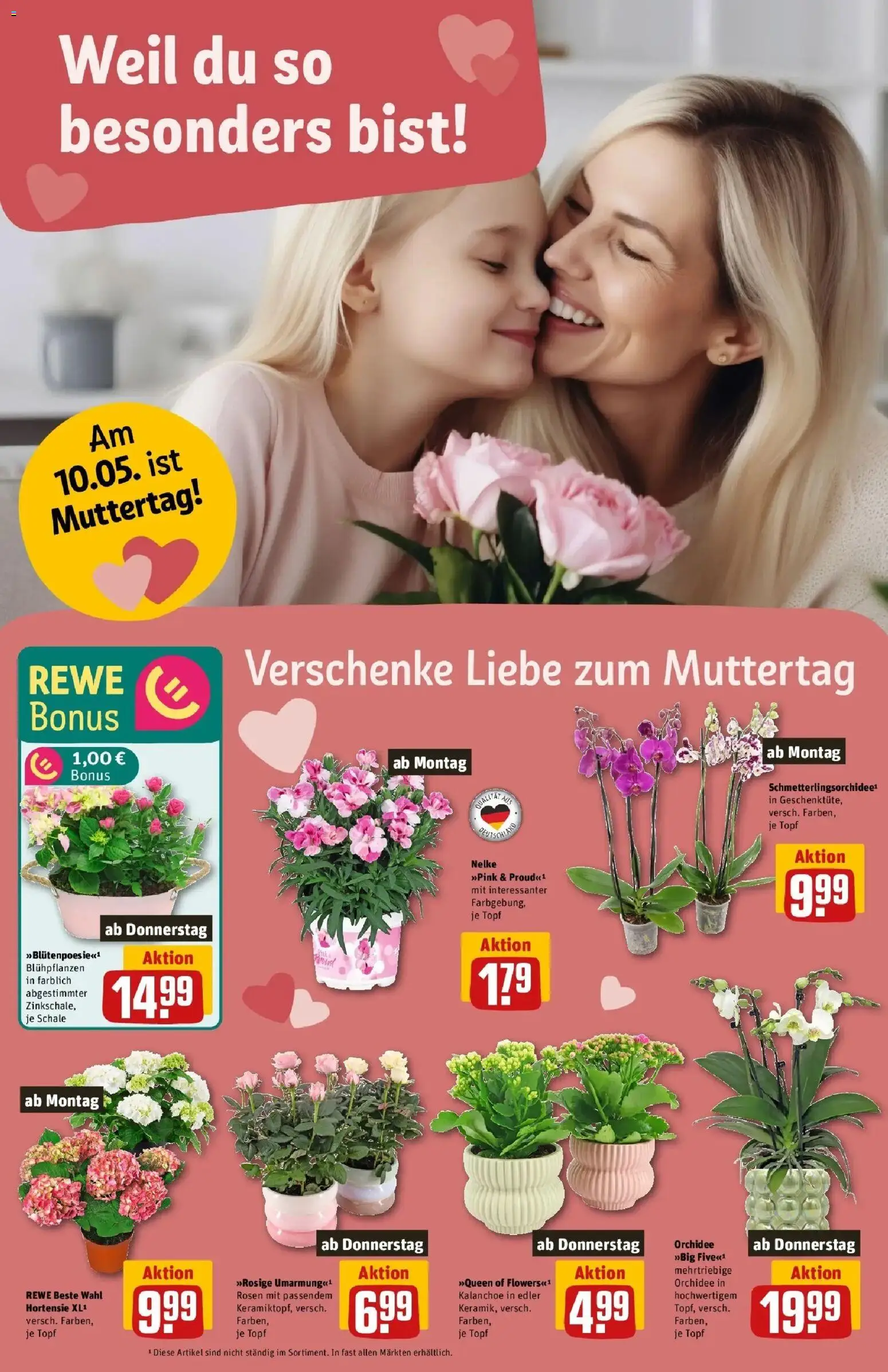 REWE Prospekt ab 04.05.2026 zum Blättern » Angebote | Seite: 8 | Produkte: Hortensie, Orchidee