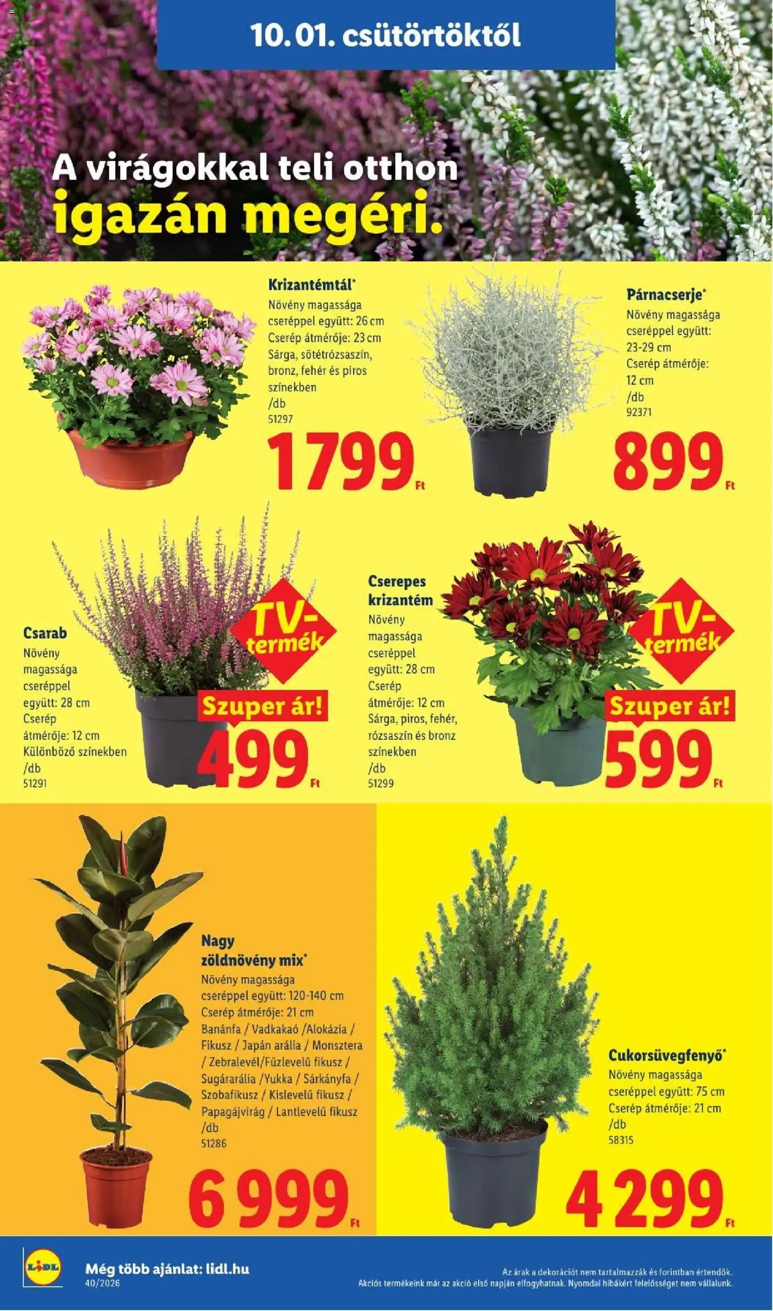 Lidl akciós ujság - amely érvényes a következő dátumtól: 2026.10.01. | Oldal: 26