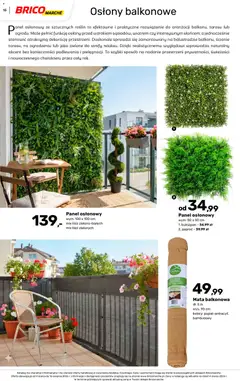 Pogląd oferty "Brico Marché gazetka - Wiosna" - ważna od 04.03.2026 | Strona: 15 | Produkty: Paproć