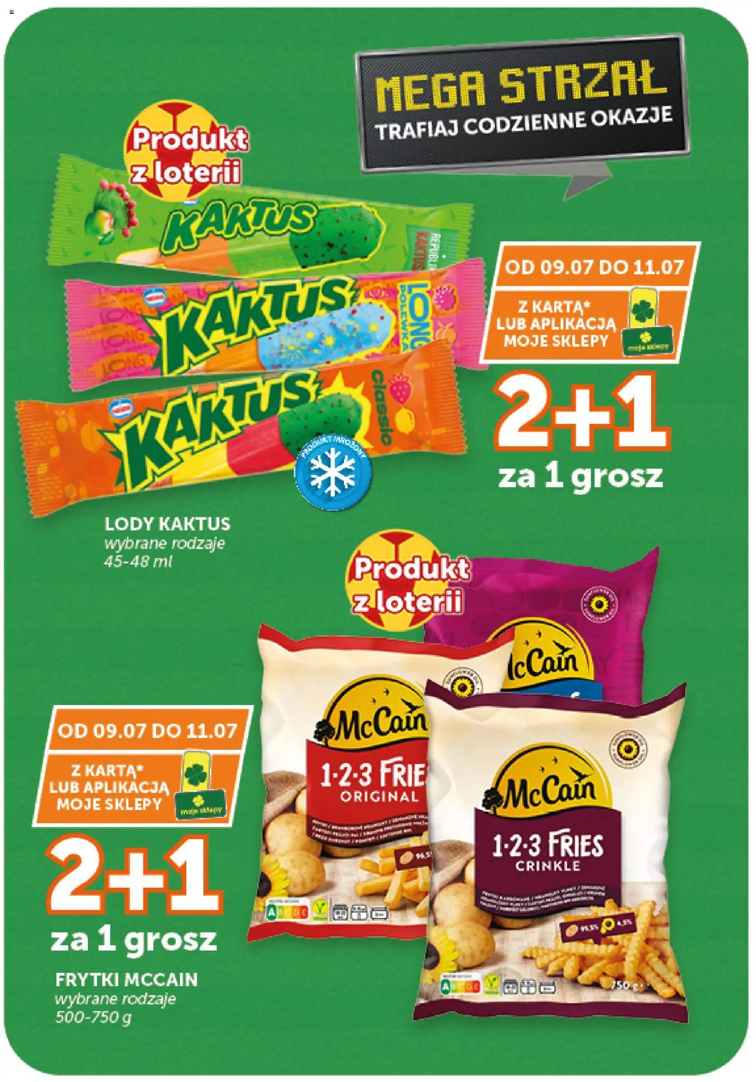 Euro Sklep gazetka od 09.07.2026 | Strona: 11 | Produkty: Frytki, Lody Kaktus, Lody
