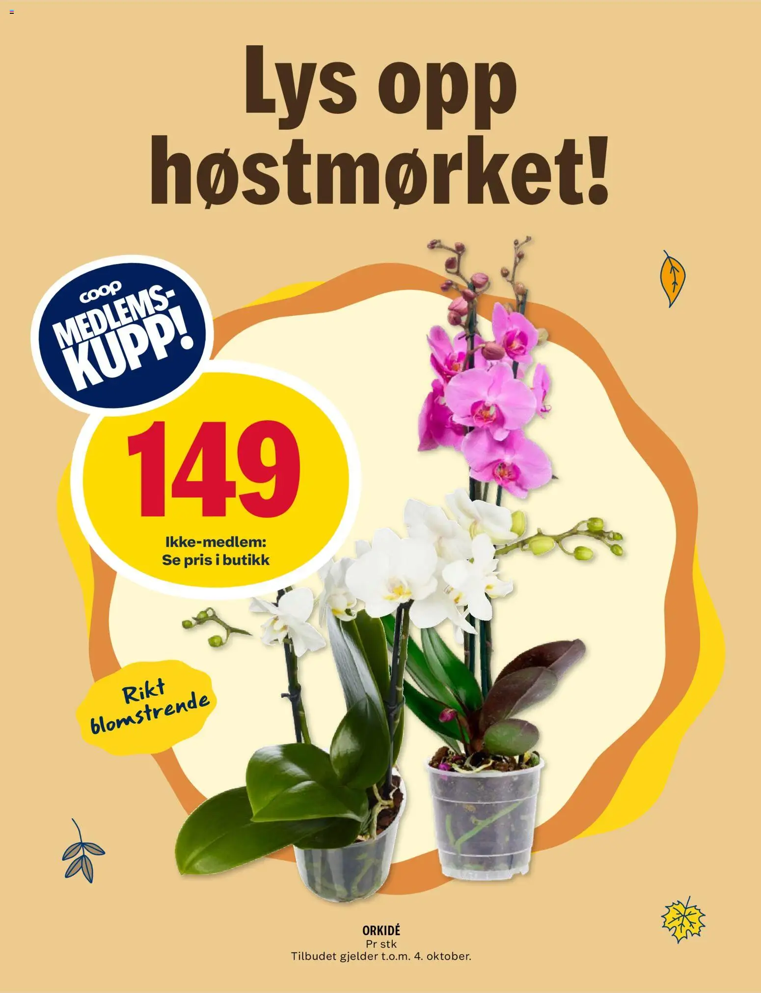 {H1} | Side: 15 | Produkter: Orkidé, Lys
