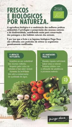 Pré-visualização Pingo Doce Fruta e Legumes válido de 30/06/2026 | Página: 40