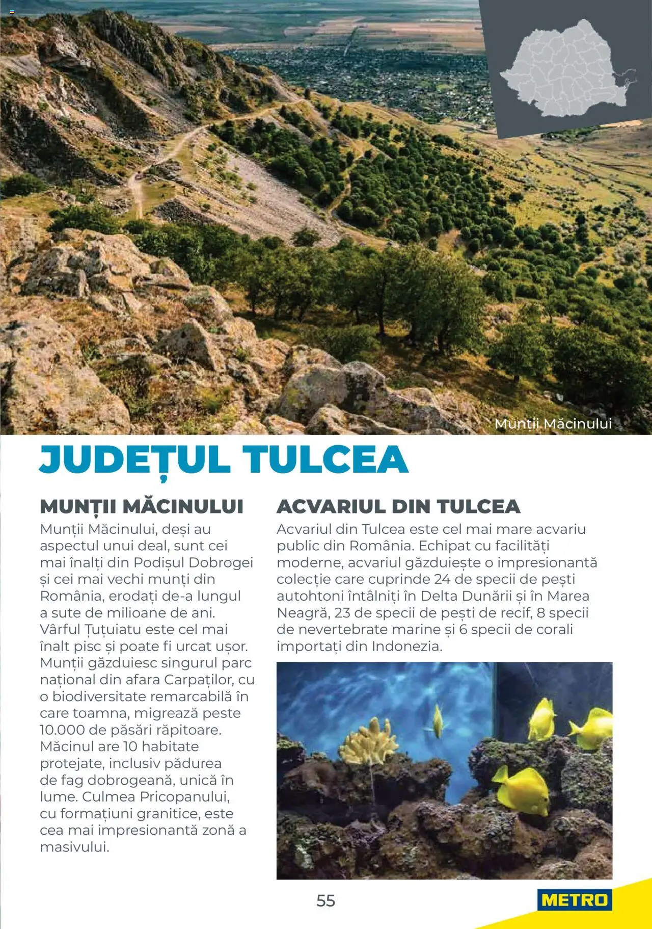 Noul catalog Metro – valabil de la 01.08.2025 | Pagină: 55 | Produse: Pește