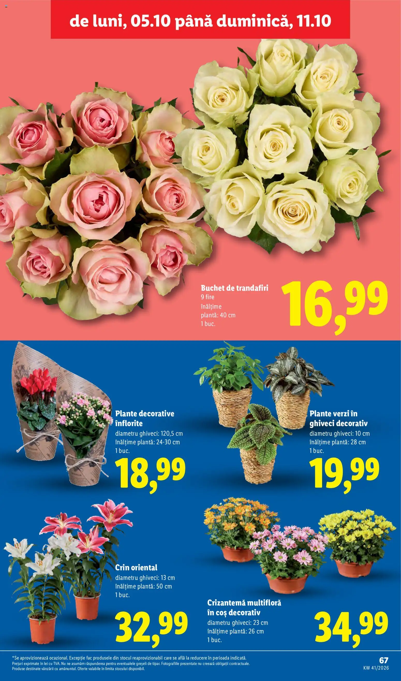 Noul catalog Lidl – valabil de la 05.10.2026 | Pagină: 67