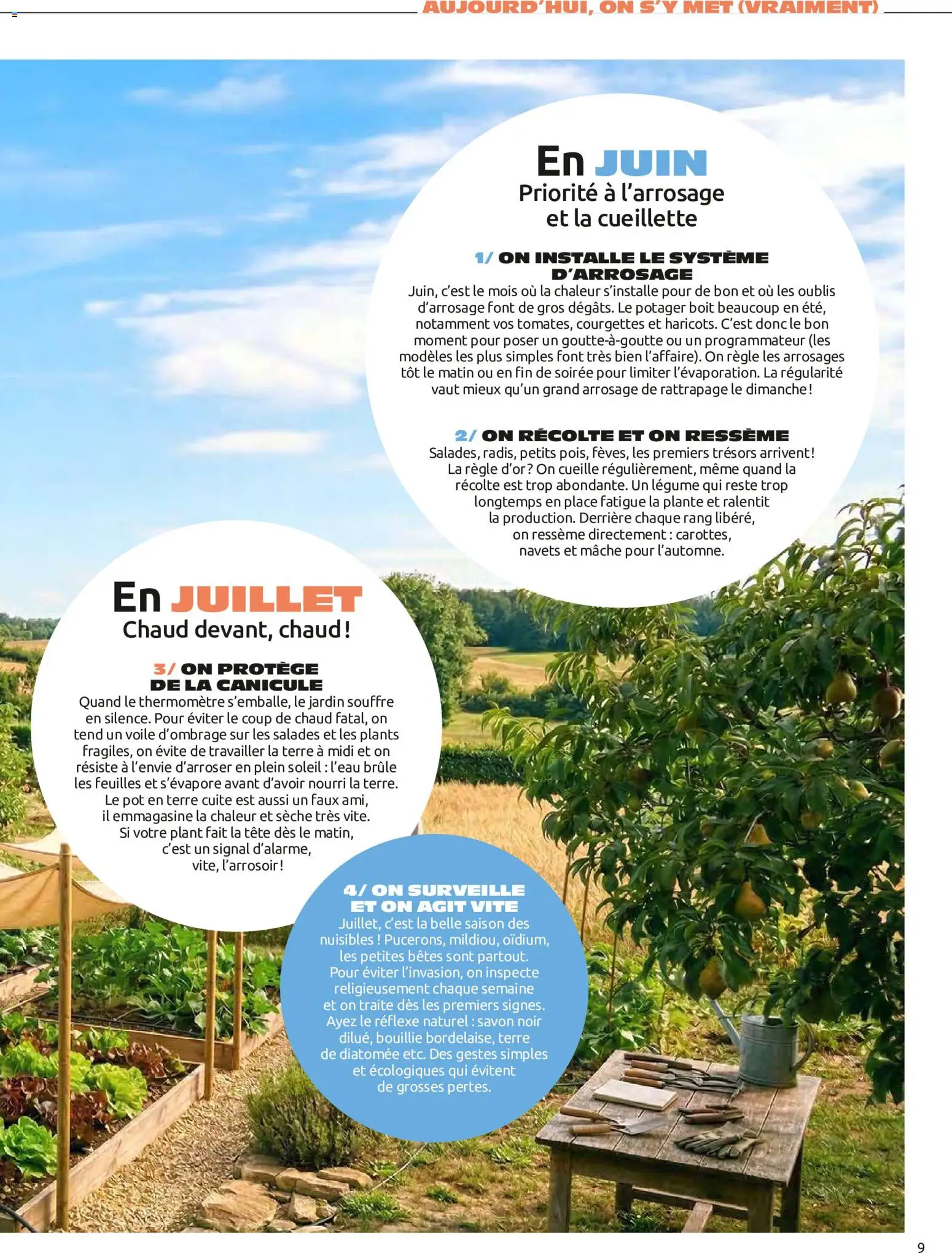 {H1} | Page: 9 | Produits: Règle, Terre de diatomée, Mâche, Bouillie
