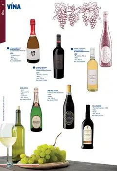 Náhled letáku Makro leták - Itálie od 15.05.2026 | Strana: 44 | Produkty: Marsala, Prosecco, Primitivo, Pinot Grigio