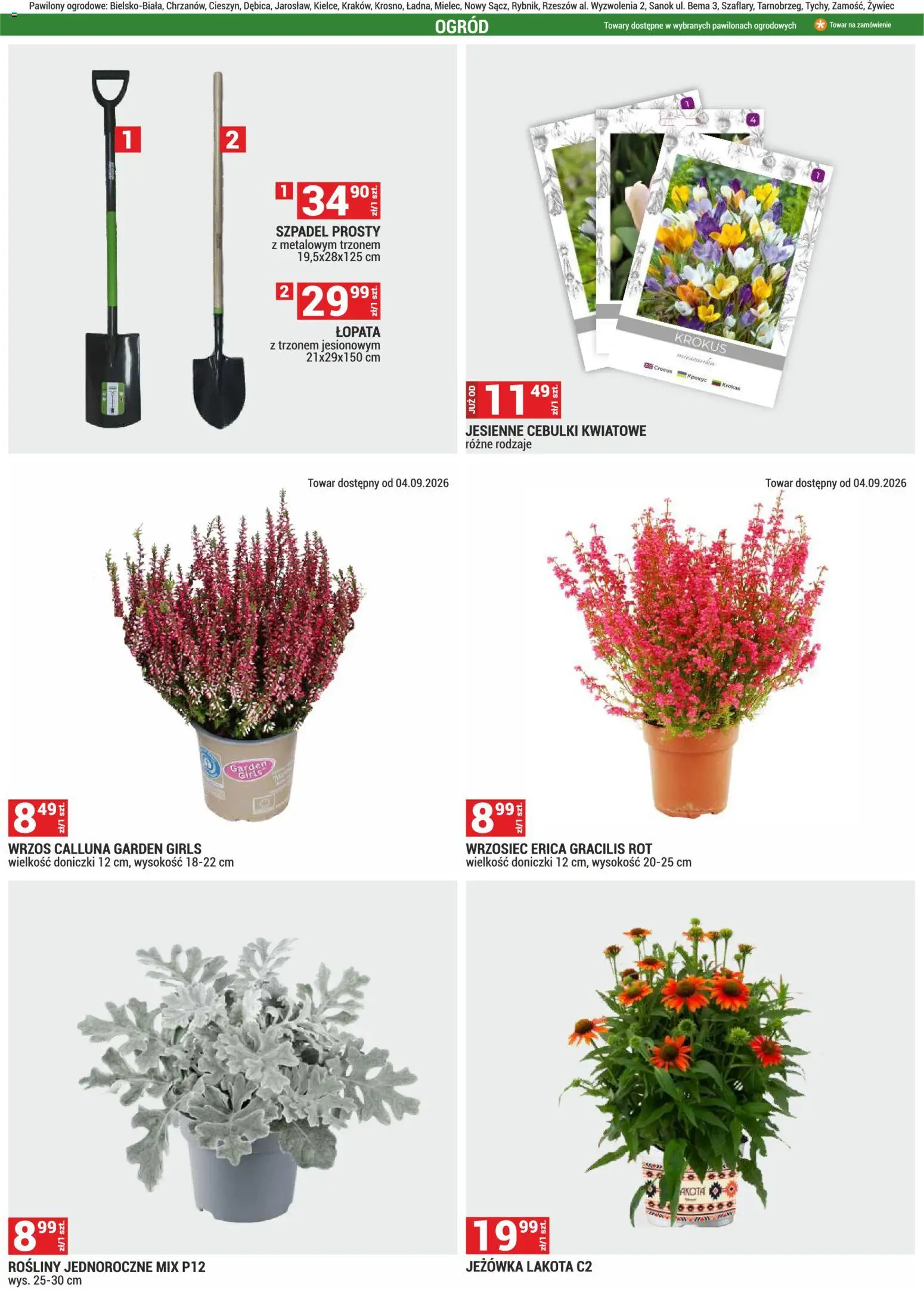 Merkury Market gazetka od 01.09.2026 | Strona: 24 | Produkty: Wrzos, Rosliny, Doniczki