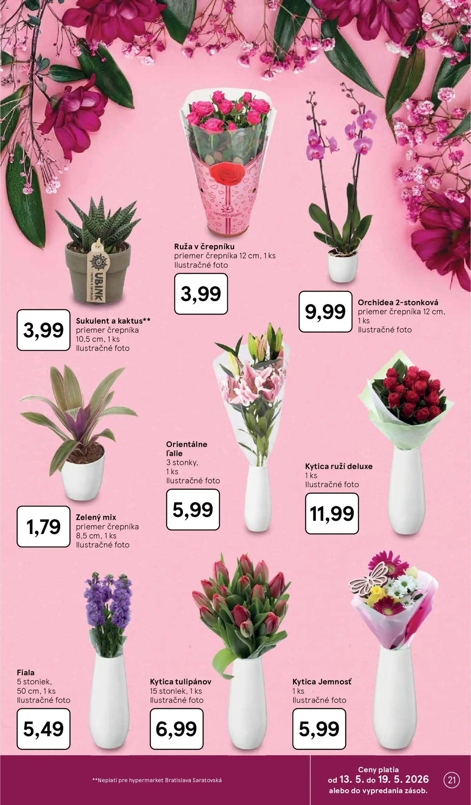 Nové Tesco akcie – leták je platný od 13.05.2026 | Strana: 21 | Produkty: Orchidea