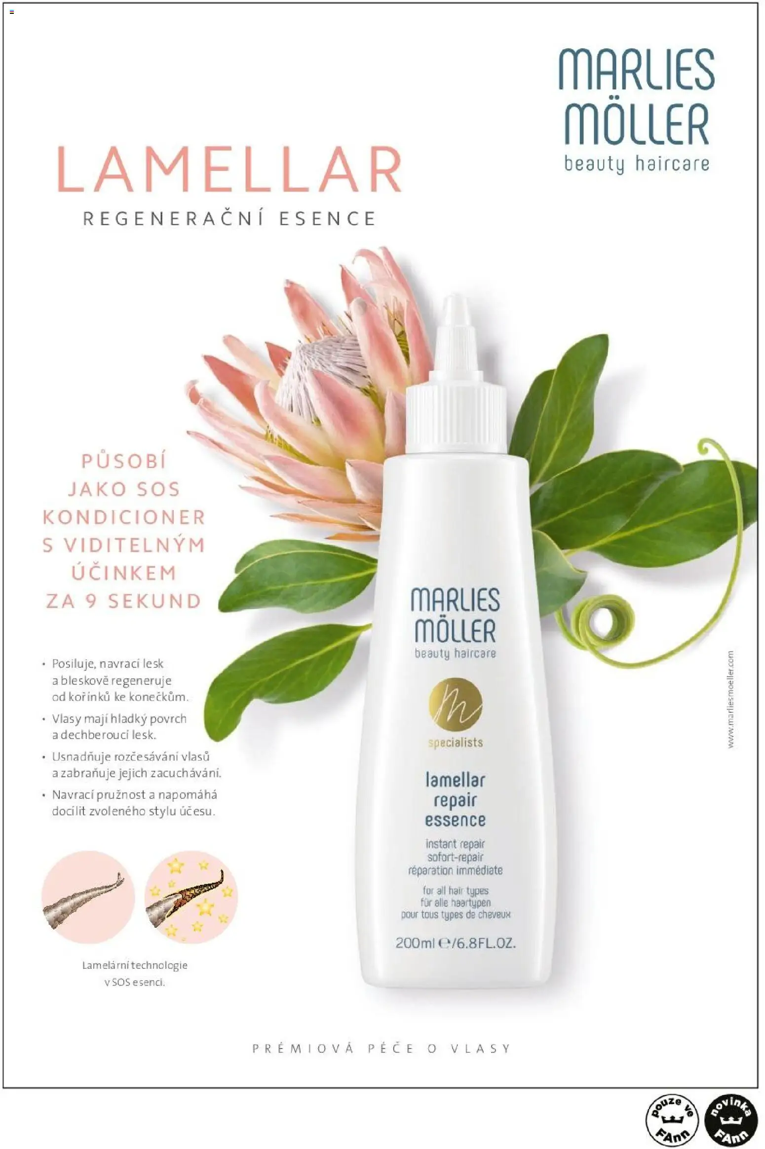 FAnn parfumerie katalog Podzim 2026 od 01.09.2026 | Strana: 73 | Produkty: Essence, Kondicionér