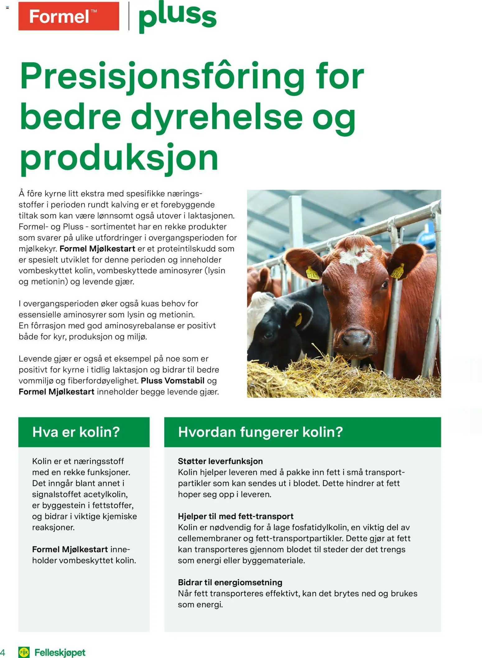 {H1} | Side: 4 | Produkter: Gjær