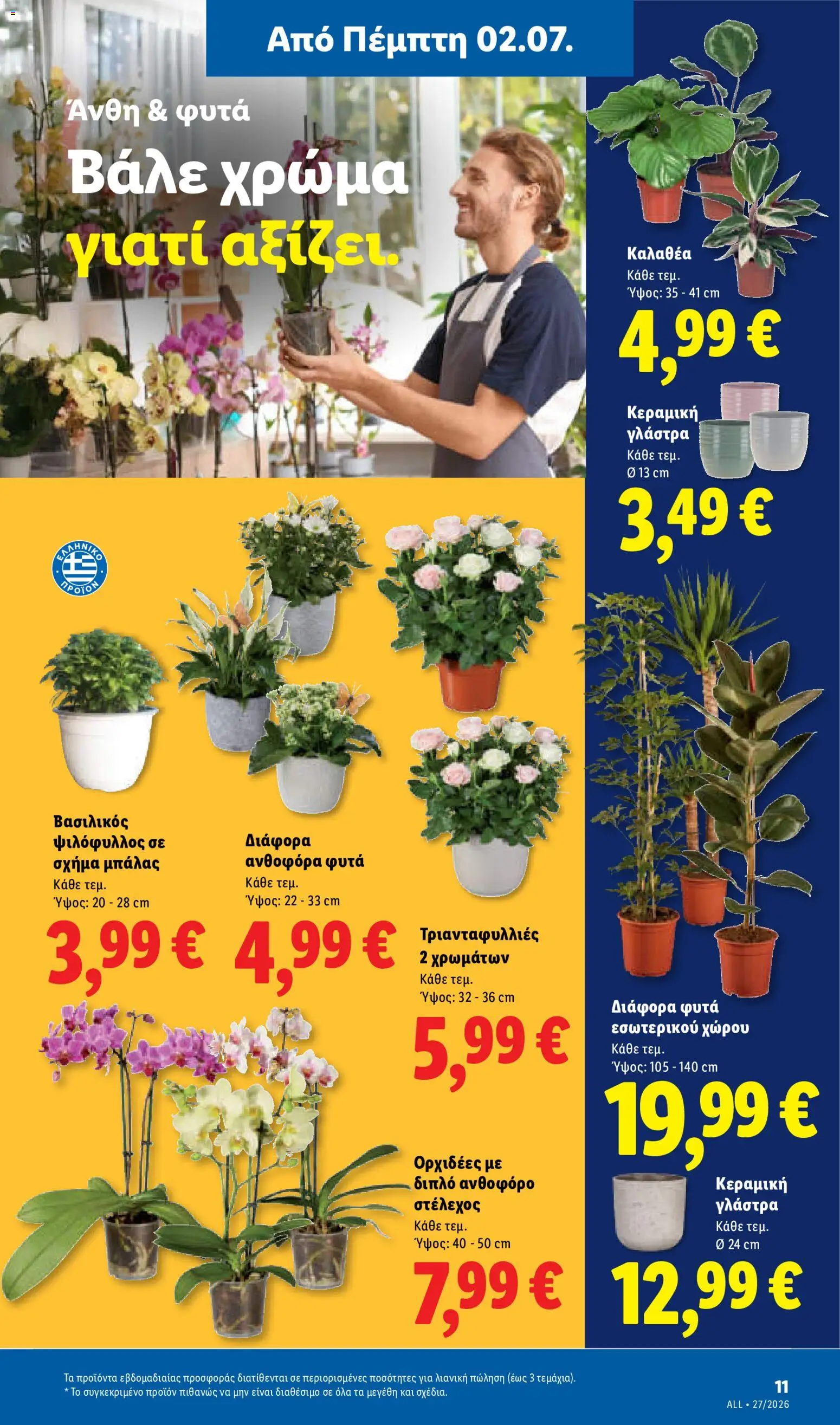  | Σελίδα: 41 | Προϊόντα: Βασιλικός, Γλάστρα