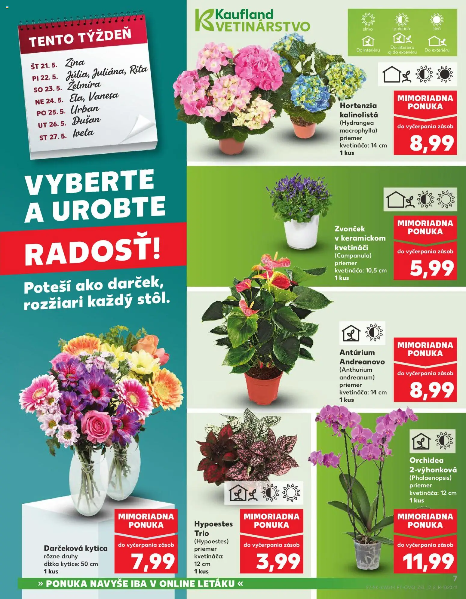 Nové Kaufland akcie – leták je platný od 21.05.2026 | Strana: 7 | Produkty: Zvonček, Kvetináč, Orchidea