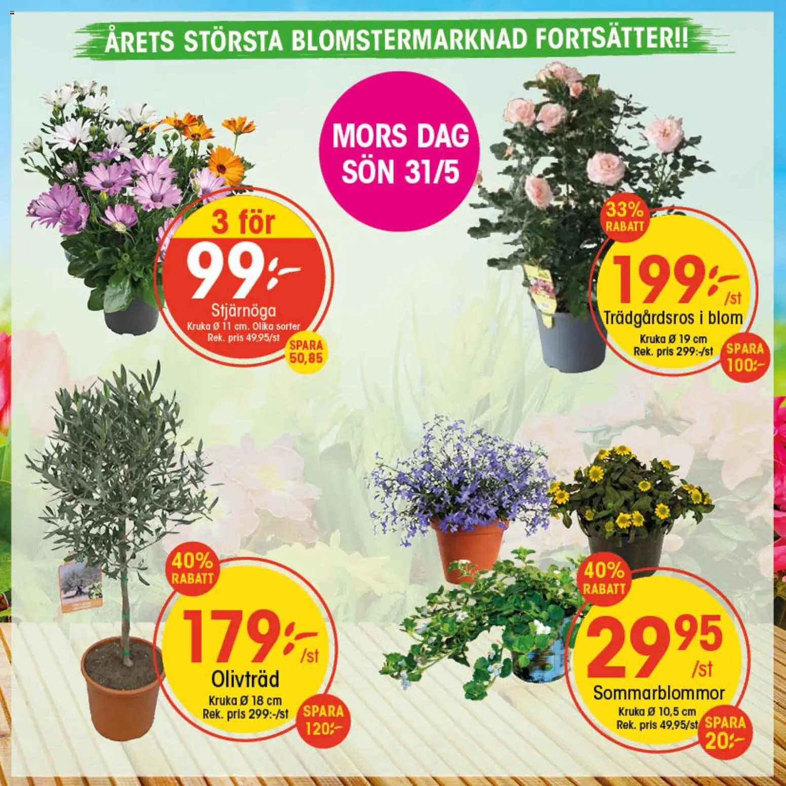 EKO reklamblad aktuell från 18.05.2026 | Sida: 2 | Produkter: Stjärnöga, Kruka