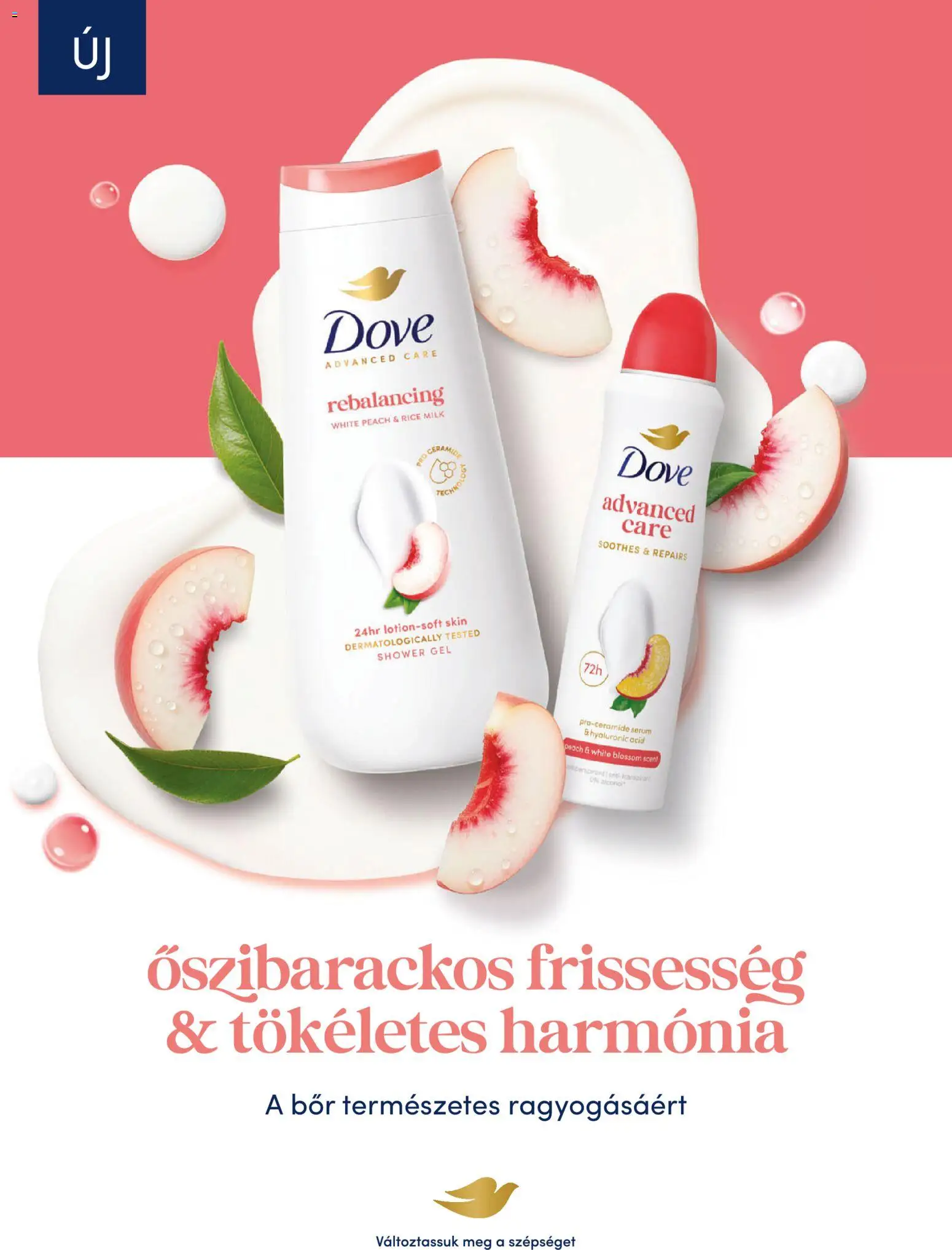 DM Drogerie Markt akciós ujság - amely érvényes a következő dátumtól: 2026.07.16. | Oldal: 6 | Termékek: Bor