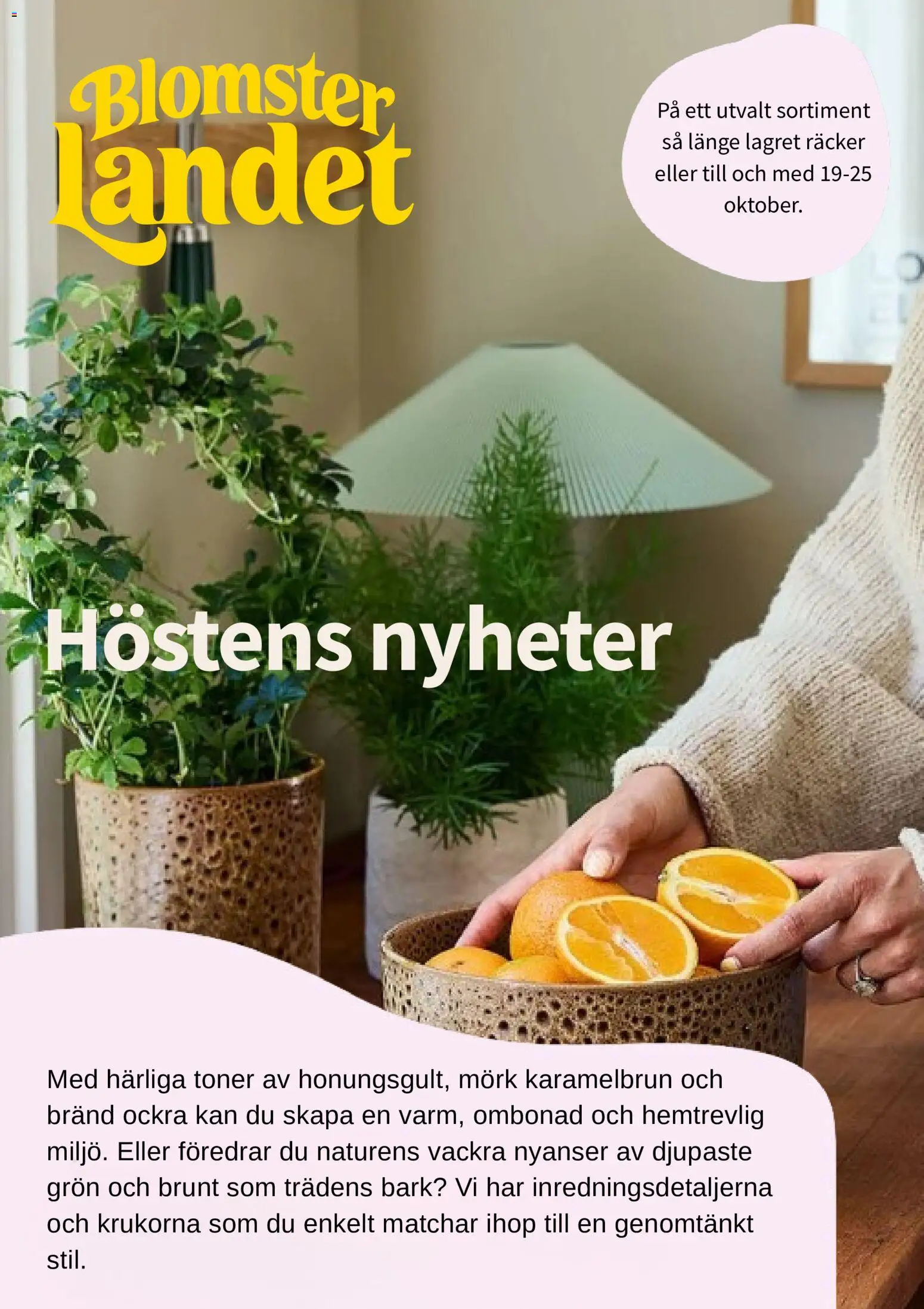 Blomsterlandet reklamblad aktuell från 19/10/2026 | Sida: 1 | Produkter: Nyheter