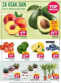 Mercator katalog akcije – veljaven od 16.07.2026 | Stran: 3
