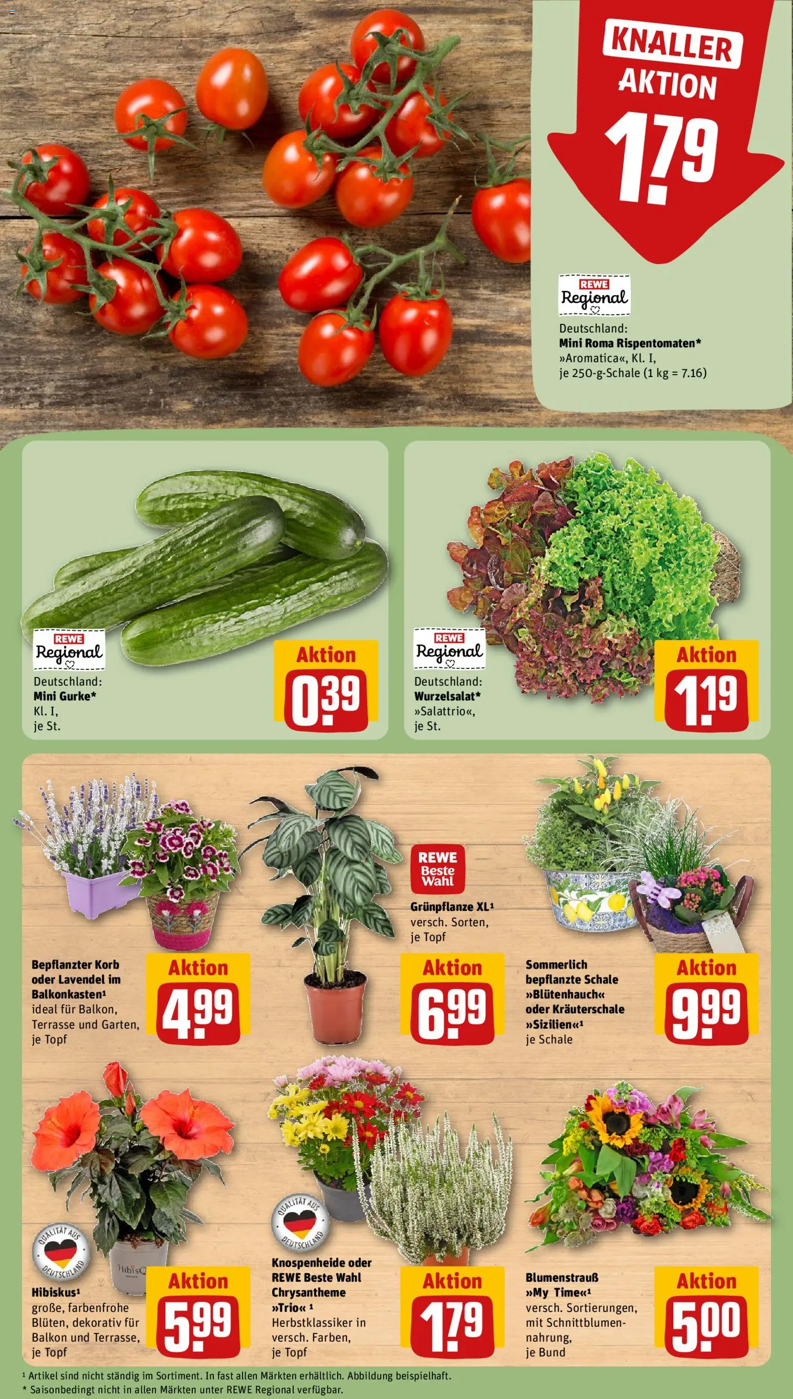 Rewe ihr Kaufpark Prospekt – gültig ab 17.08.2026 | Seite: 7 | Produkte: Korb, Lavendel