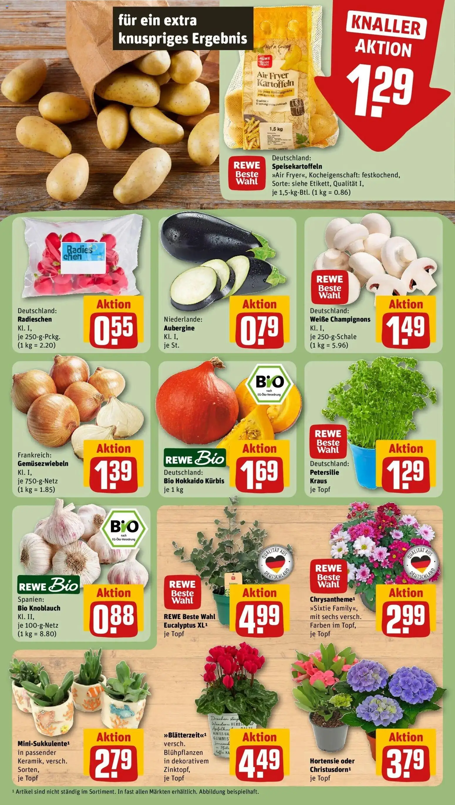 REWE Prospekt ab 24.08.2026 zum Blättern » Angebote | Seite: 7 | Produkte: Kaffee, Kartoffeln, Knoblauch, Petersilie