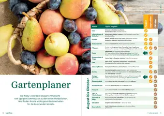 Lagerhaus Fürs Leben am Land Herbst 2026 ab 01.08.2026 gültig | Seite: 6 | Produkte: Erdbeeren, Gurken, Obst, Kürbis
