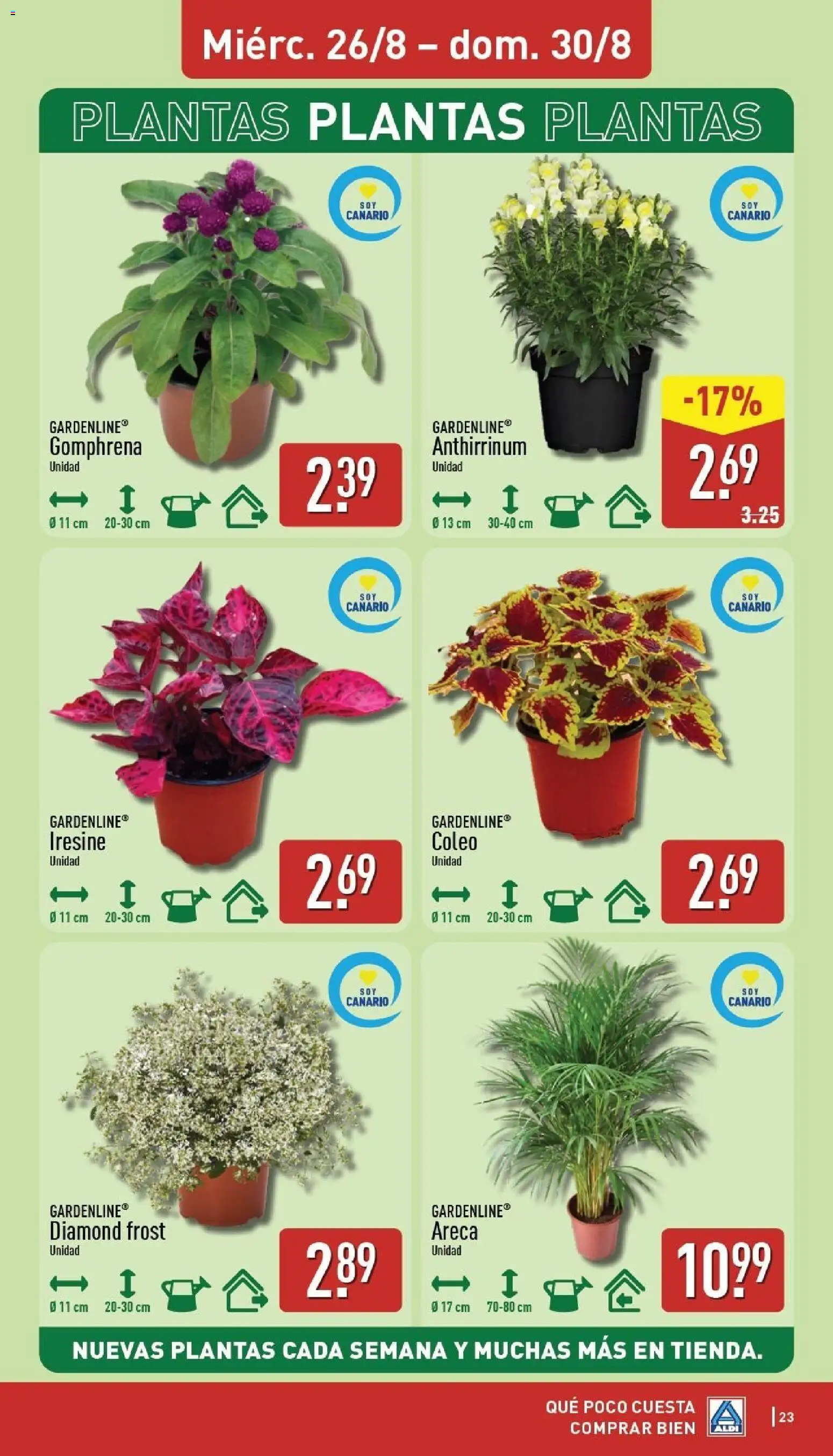 Aldi folleto Canarias │ válido desde el 24/08/2026 | Página: 23