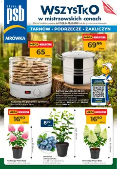 Pogląd oferty "Mrówka gazetka - Tarnów" - ważna od 11.09.2026