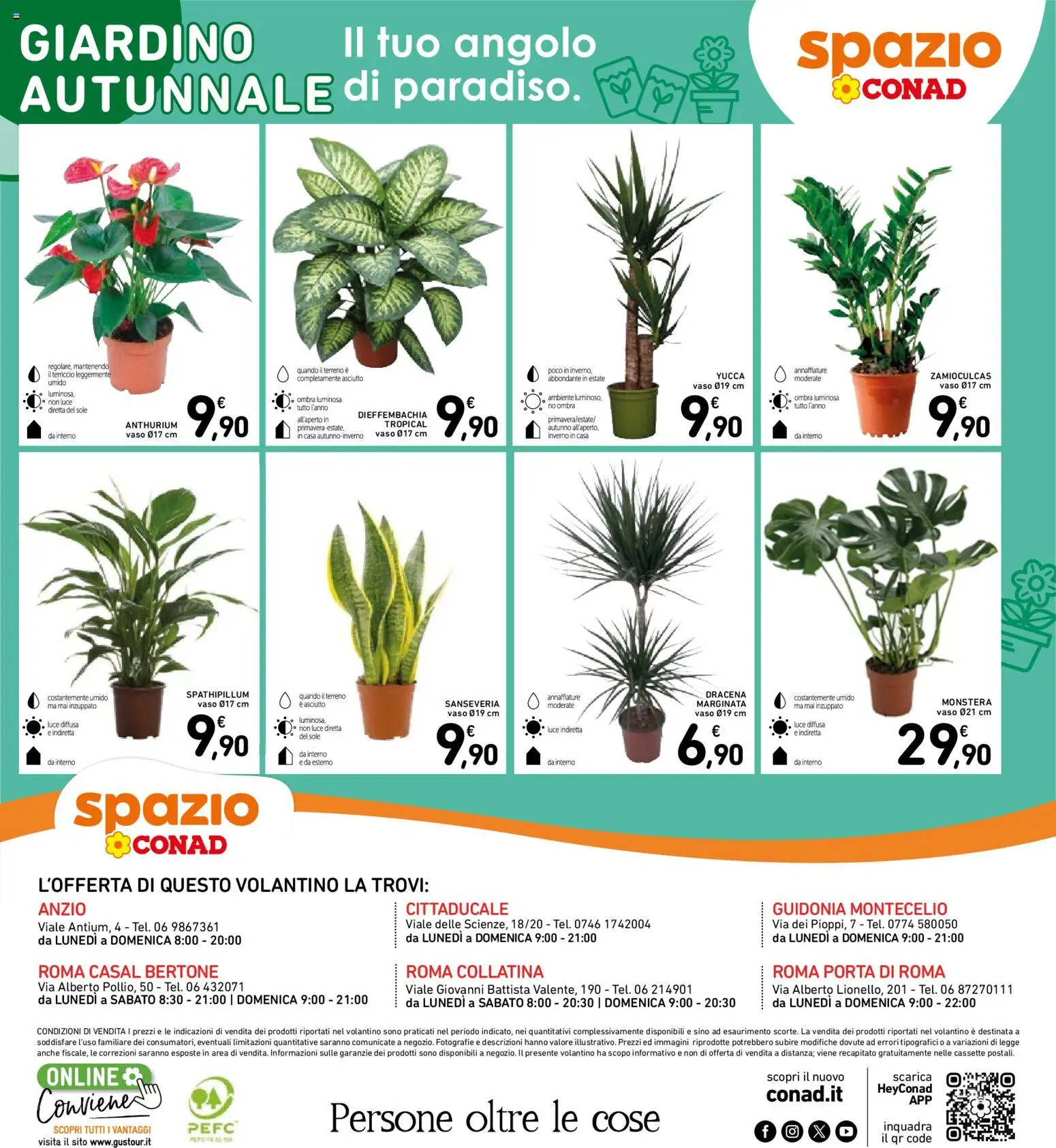 Volantino Spazio Conad del 22/09/2026 | Pagina: 27 | Prodotti: Porta, Terriccio, Vaso